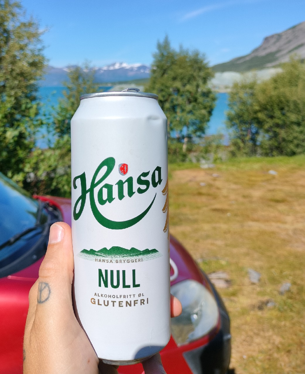Hansa NULL, Norway