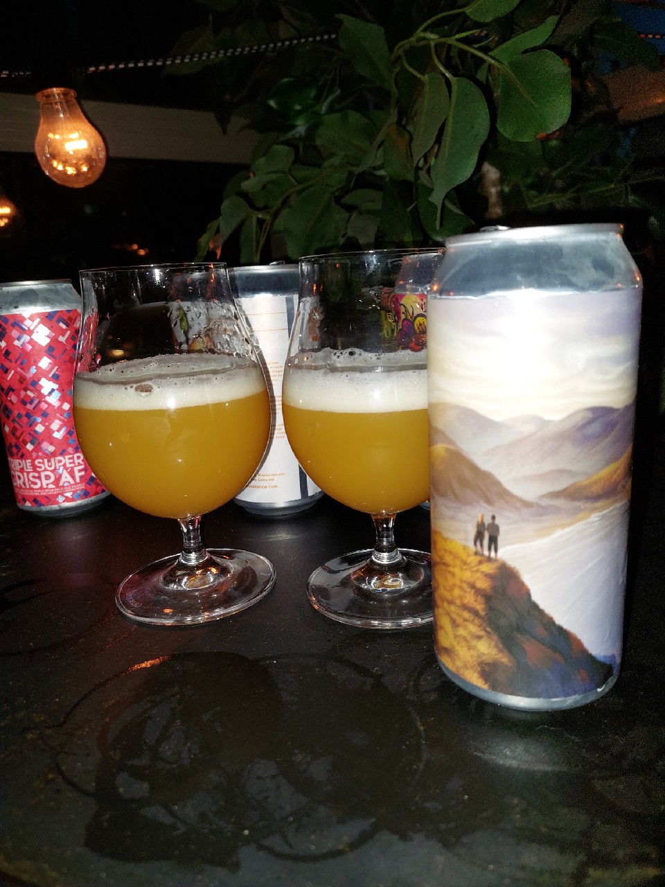 Land of the Long White Cloud, United States