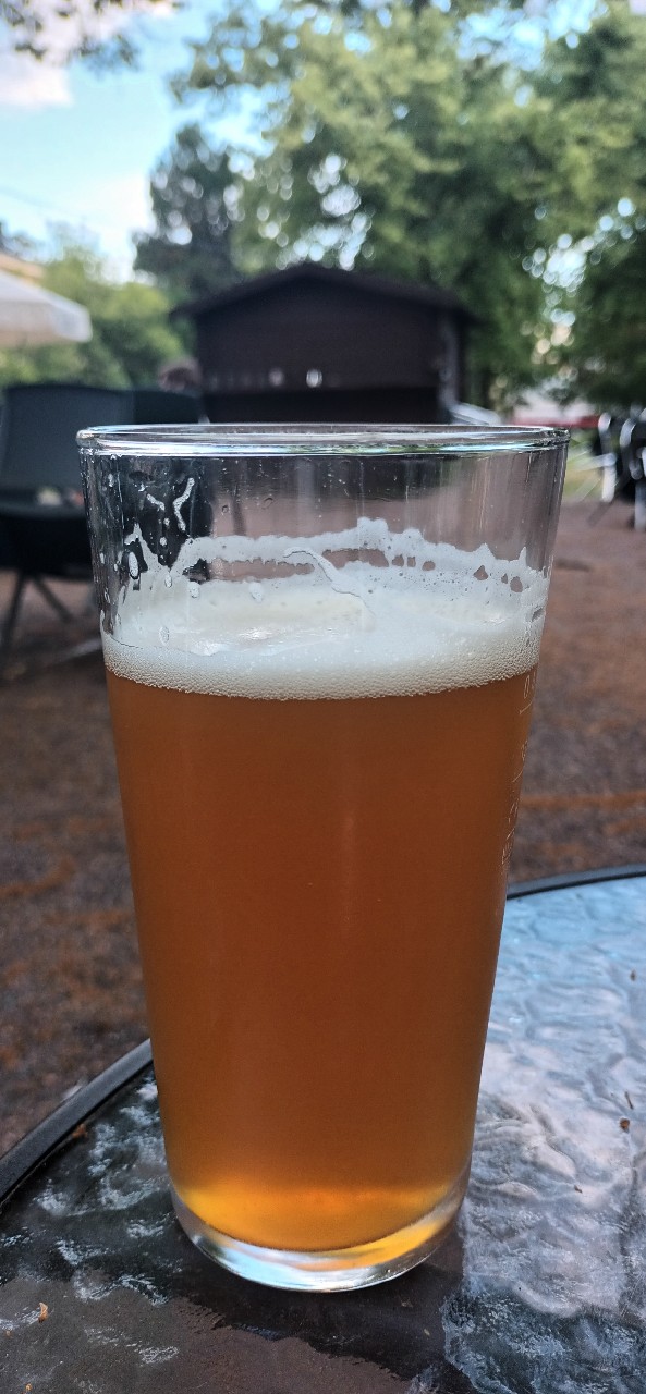 Misty Woods, England