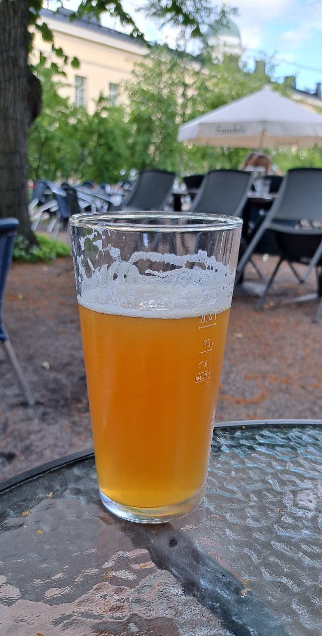 Misty Woods, England