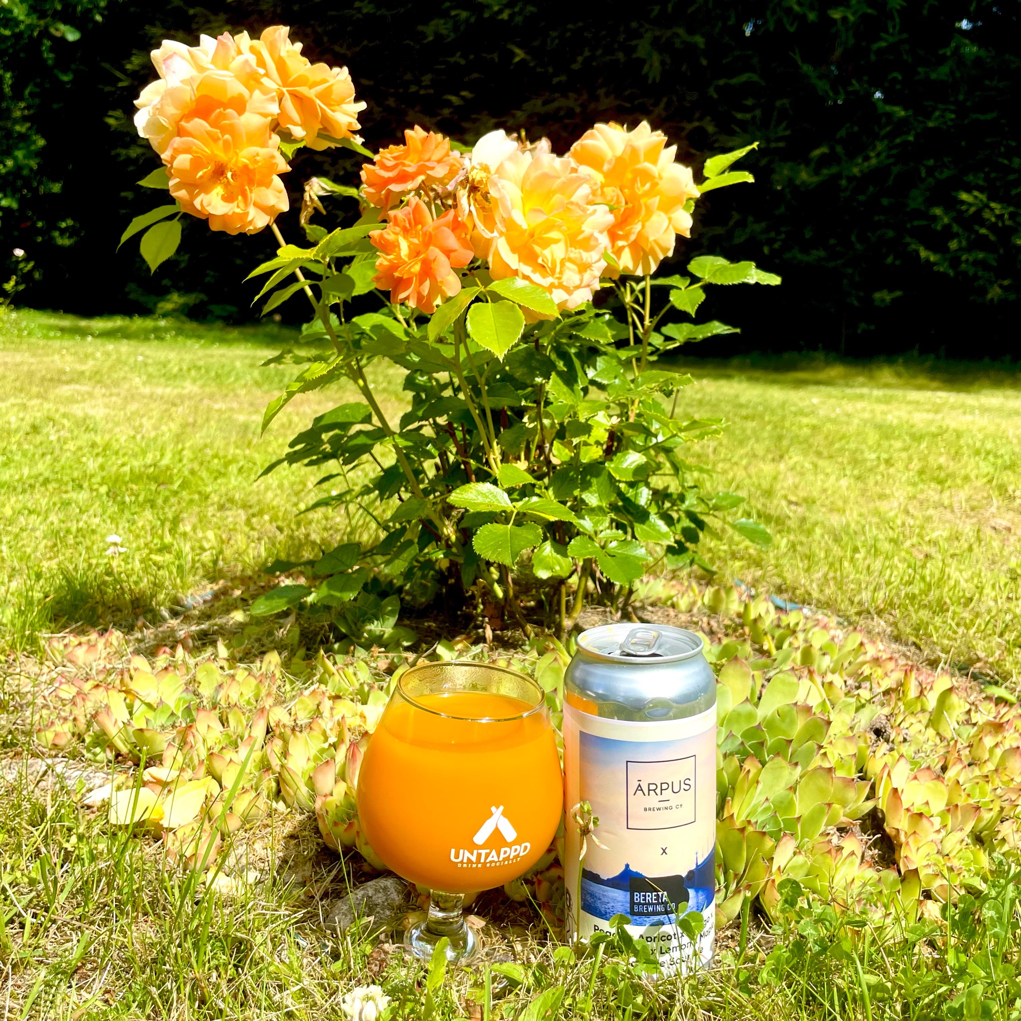 Peach x Apricot x Mango x Strawberry x Lemon x Maple Smoothie Sour Ale, Latvia