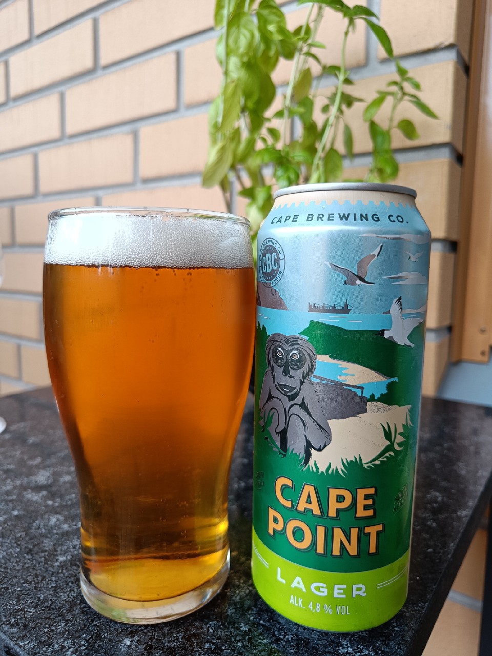 Cape Point, South Africa