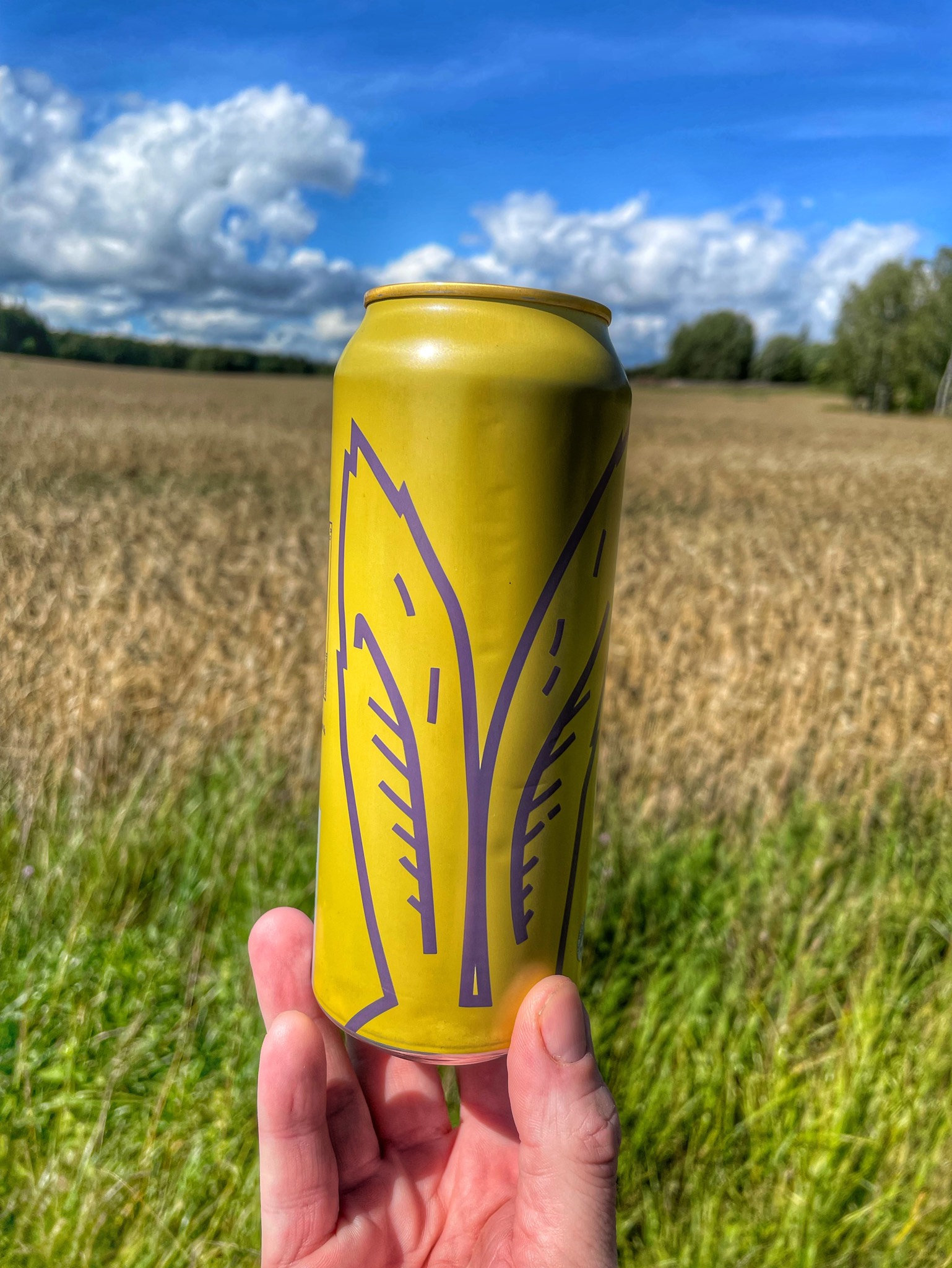 Meidän Veikko Liukastui Banaaniin, Finland