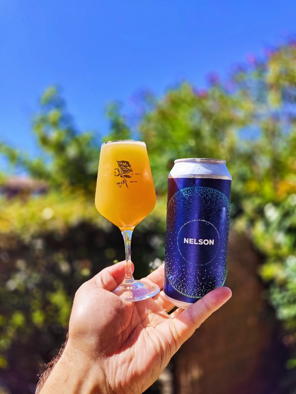 It's All Nelson, Scotland