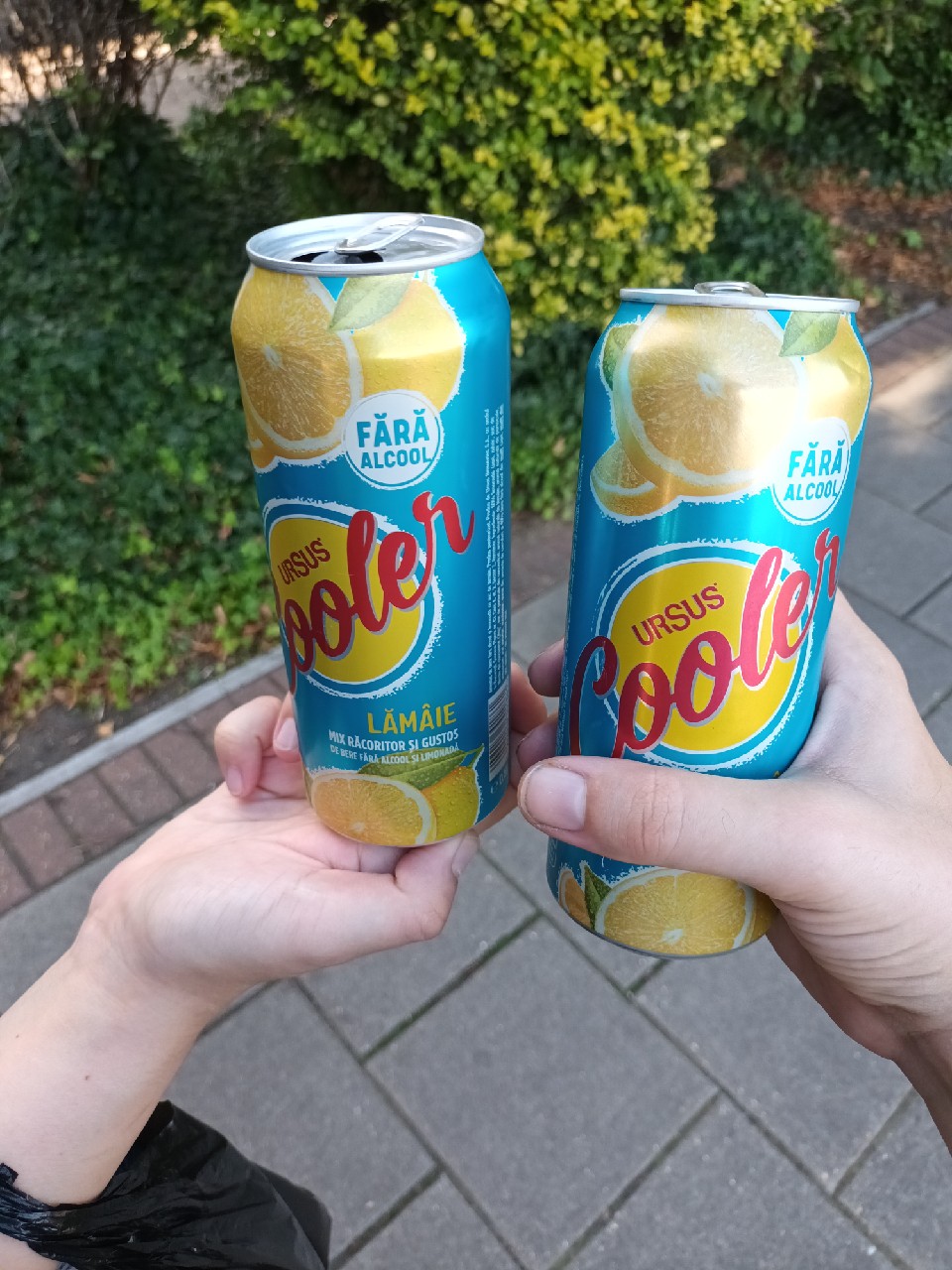 Ursus Cooler Lemon, Romania