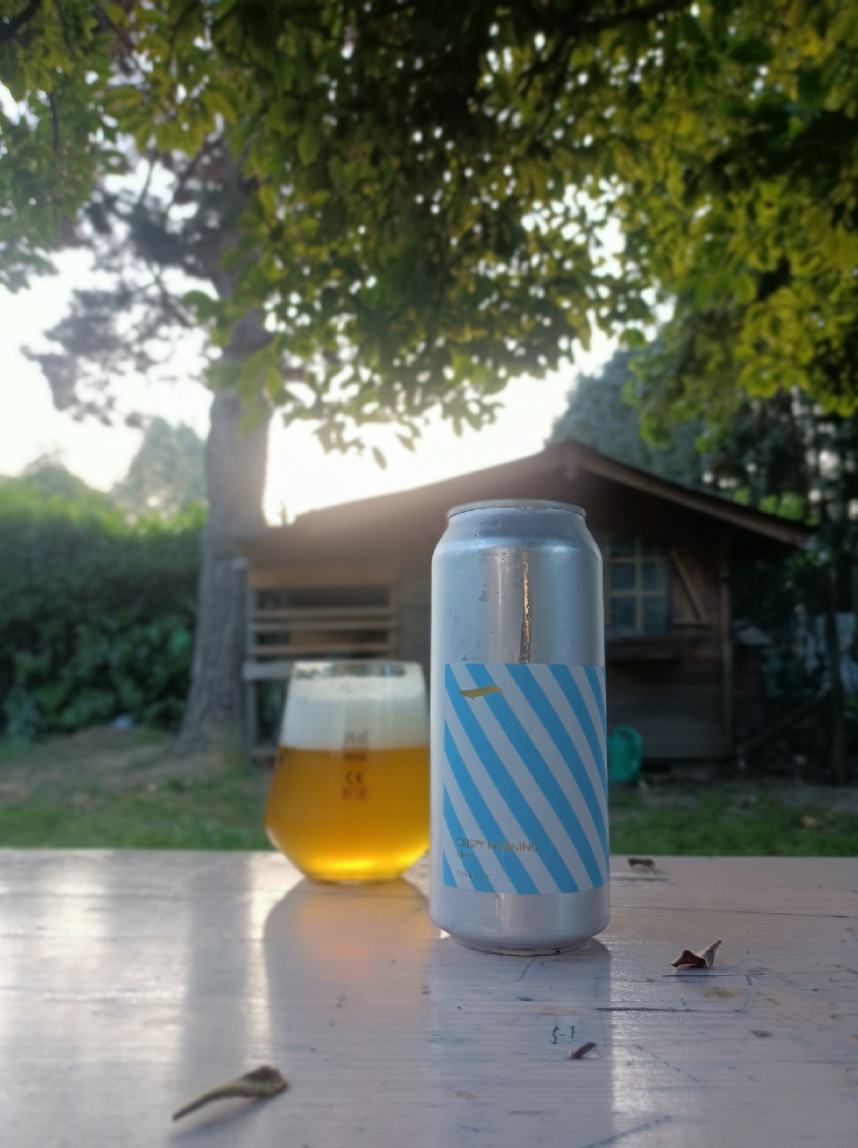 crispy morning, United States