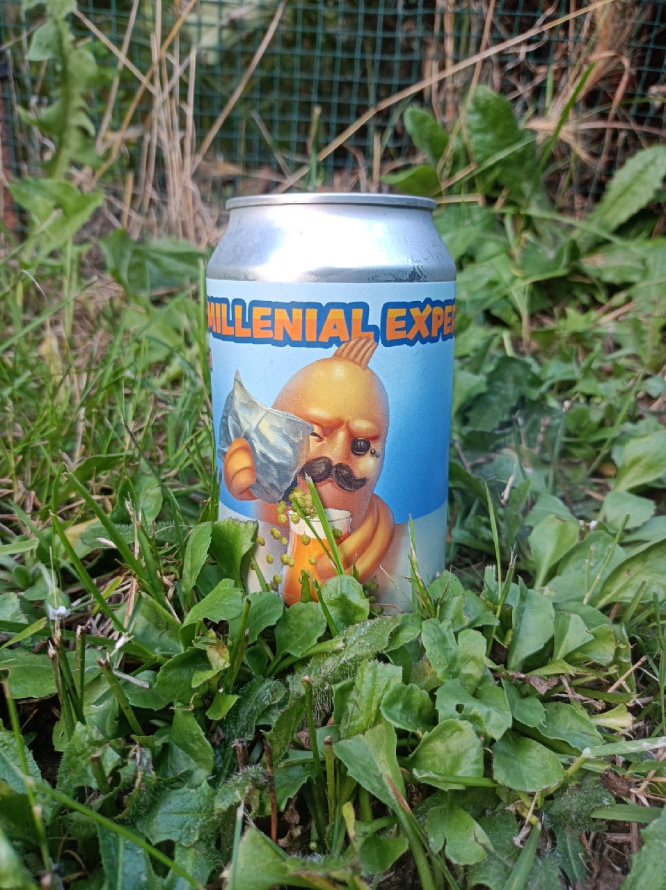 Peak millenial experience, Slovenia