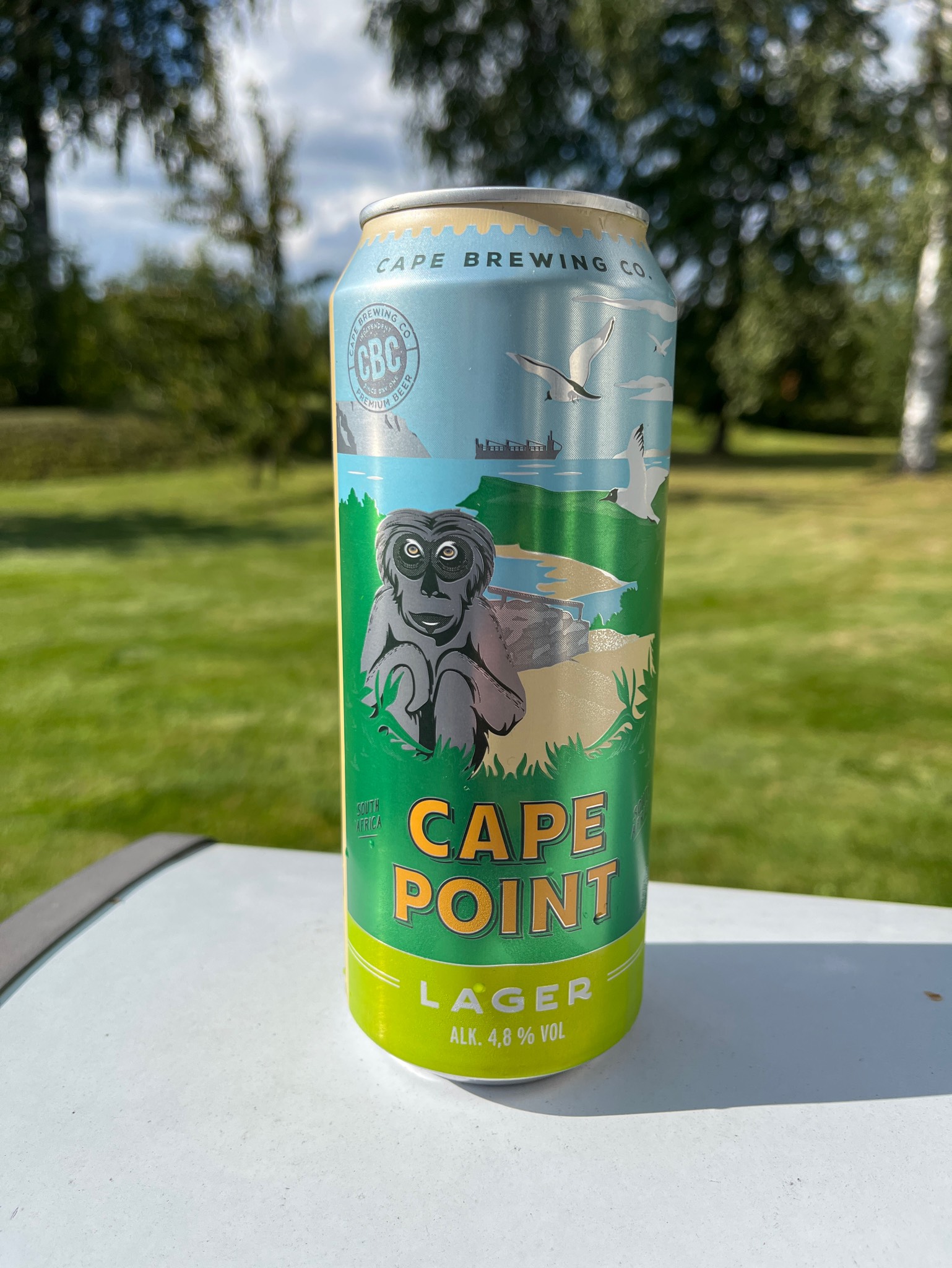 Cape Point, South Africa