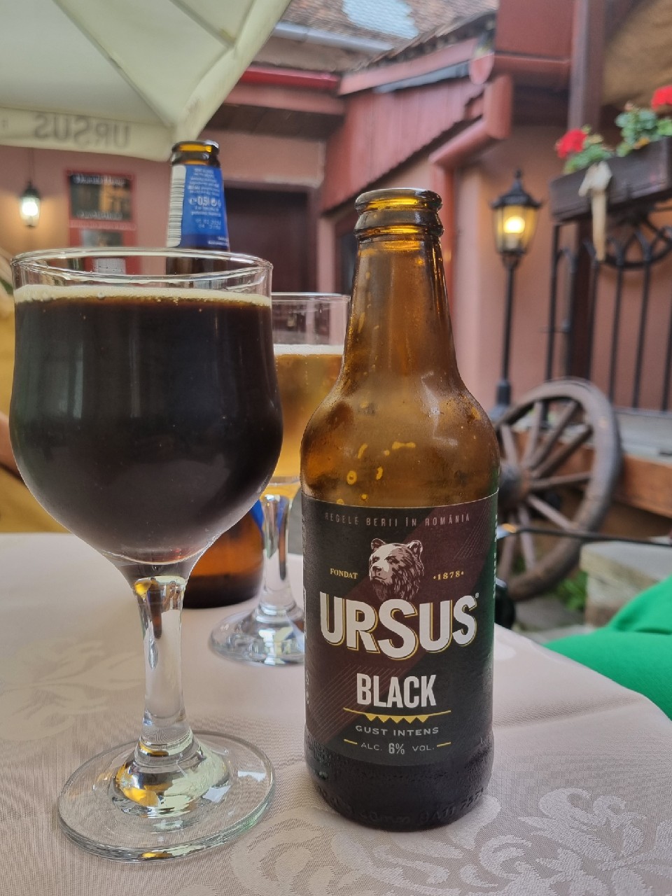 Black Grizzly, Romania