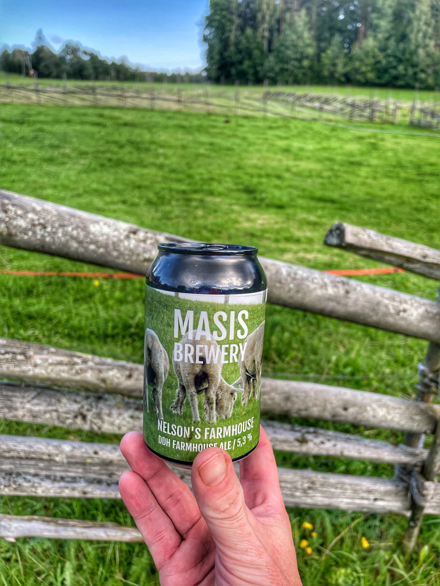 Nelson's Farmhouse, Finland