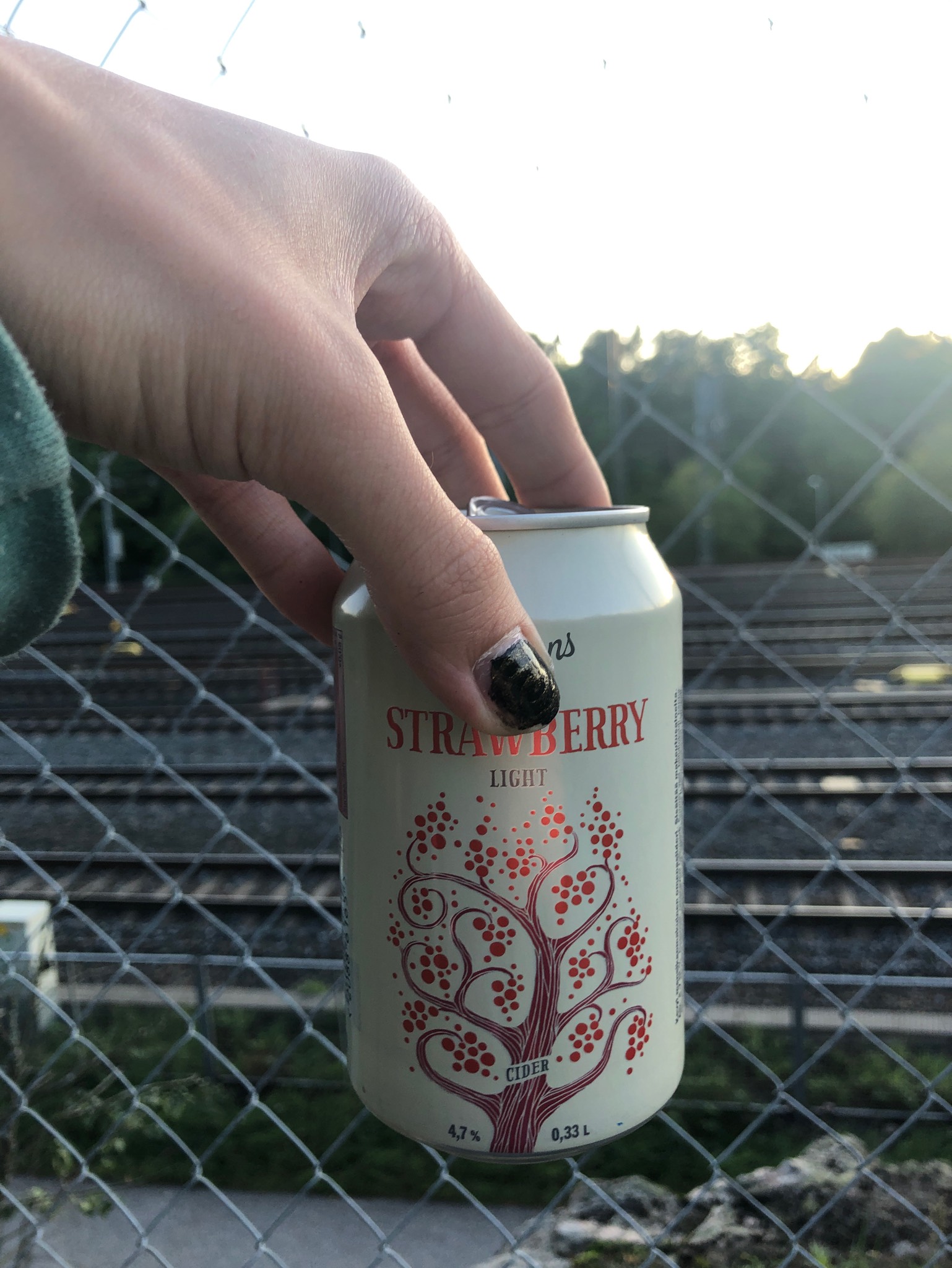 Karlens Strawberry Light, Finland