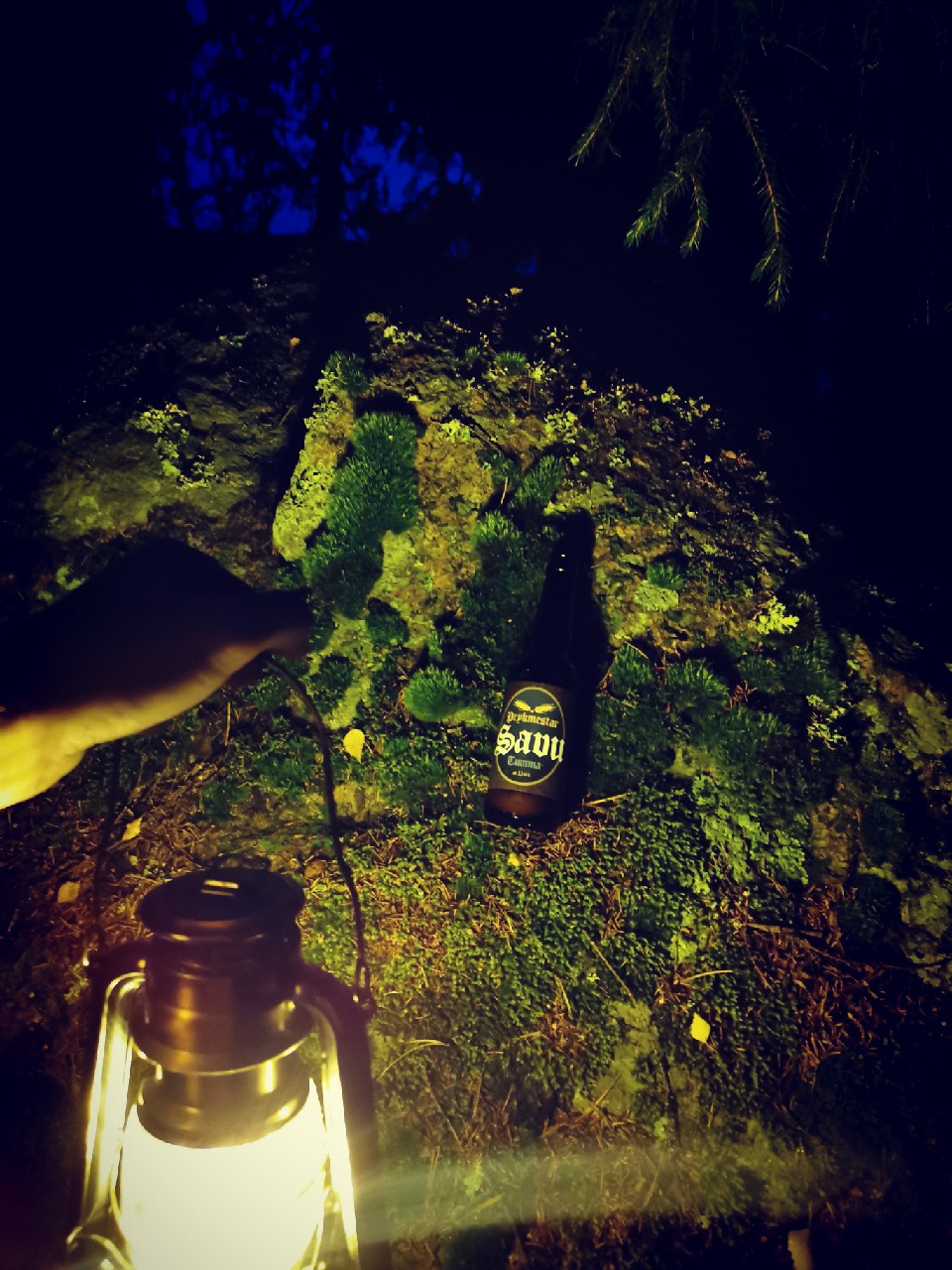 Prykmestar Savu Tumma, Finland