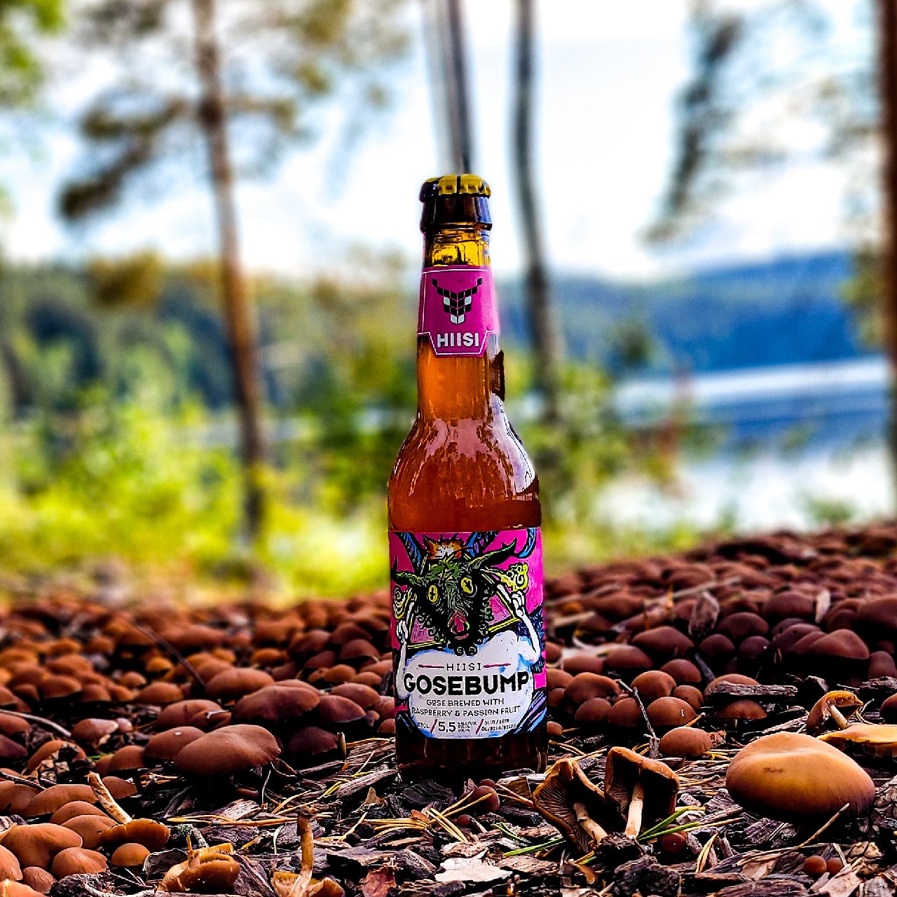 Gosebump 4.5 %, Finland