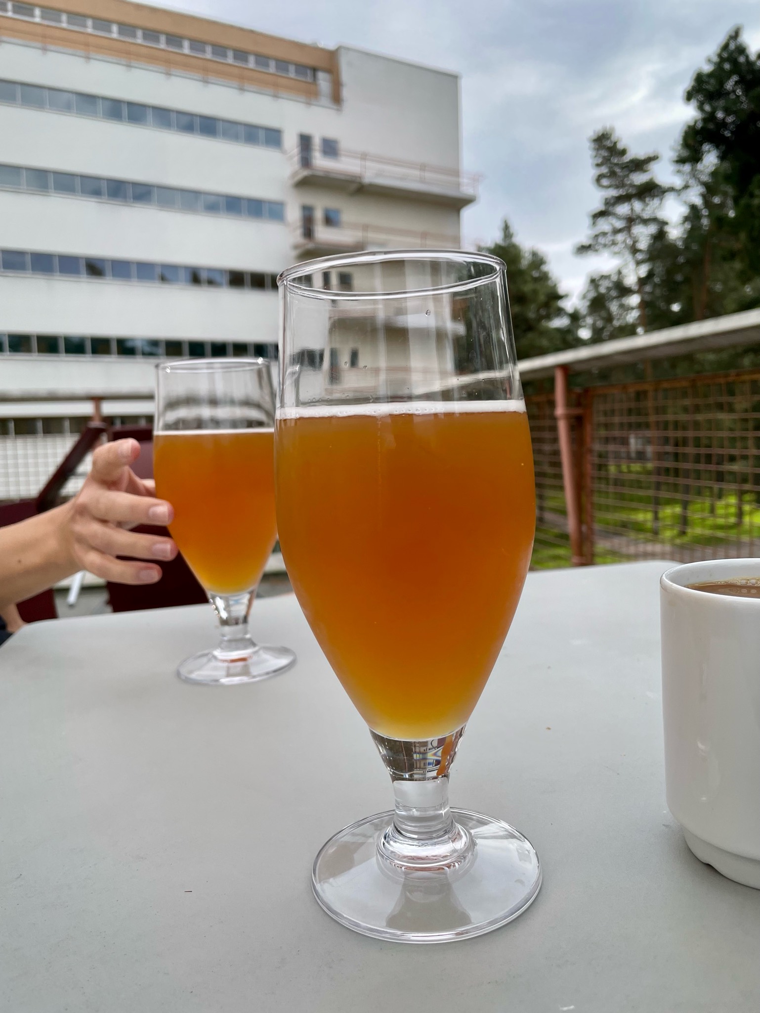 Ravintola Toivo, Finland