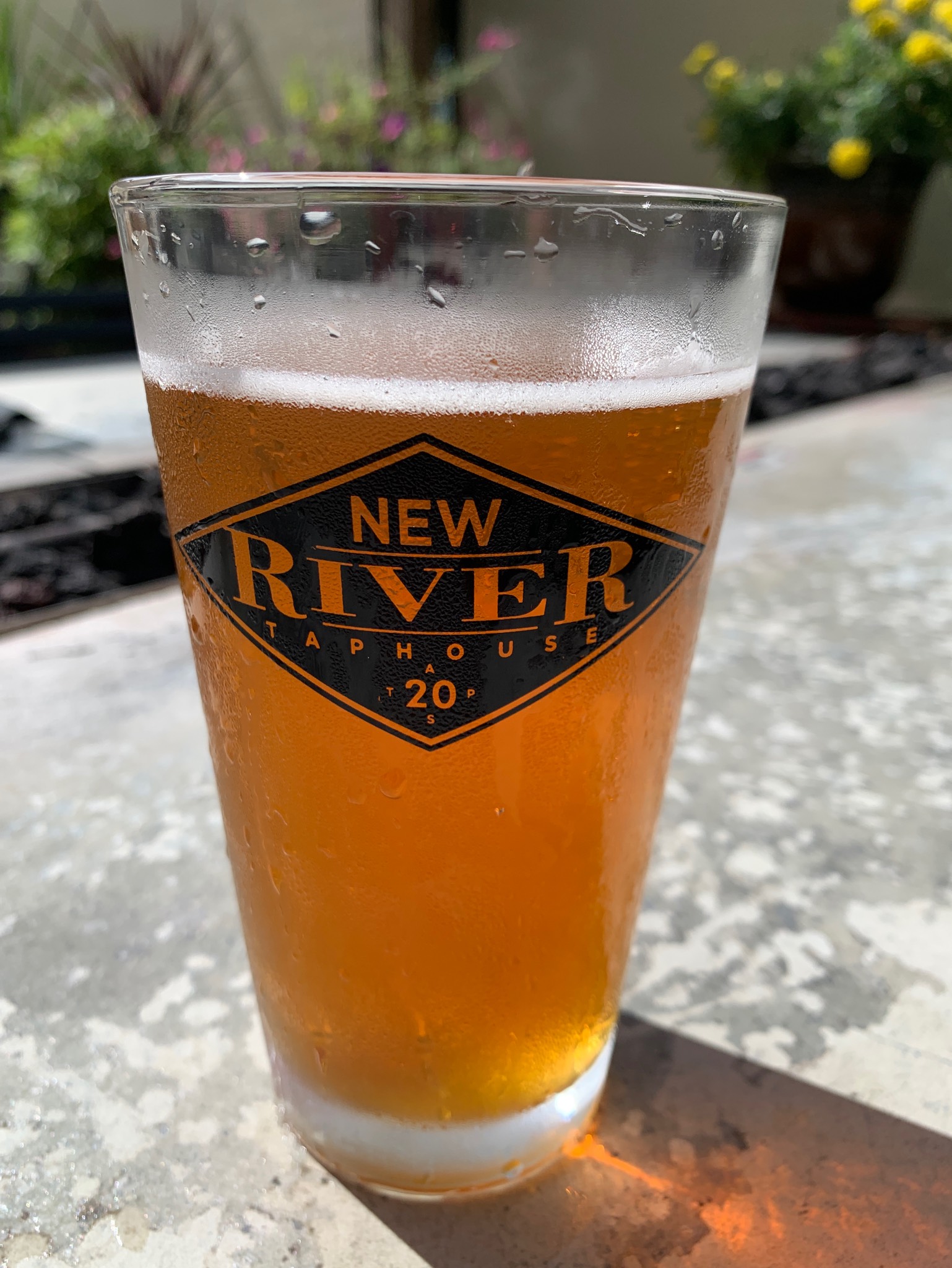 Pumpkin Latte Blonde, United States