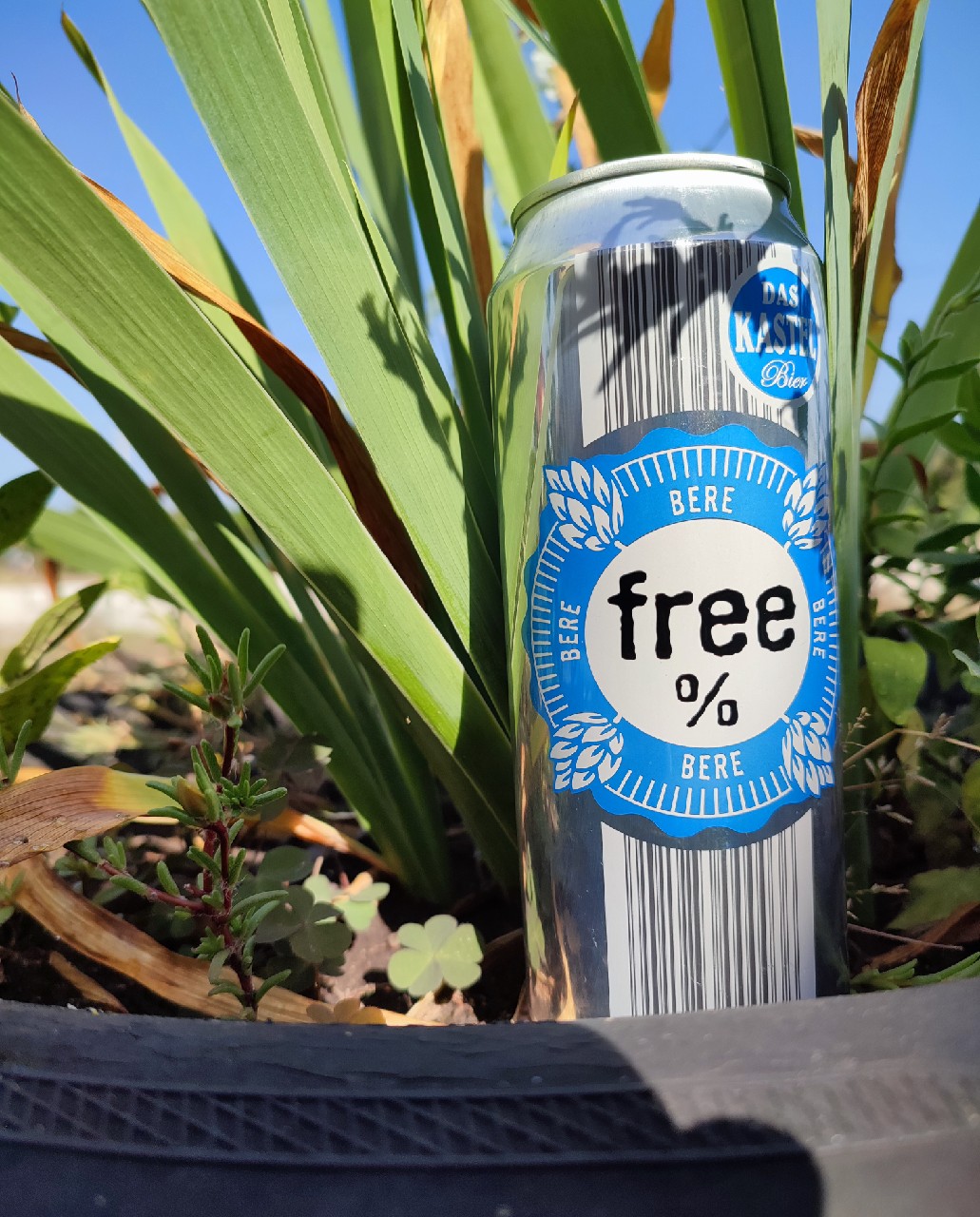 Das Kastel, Martens SA