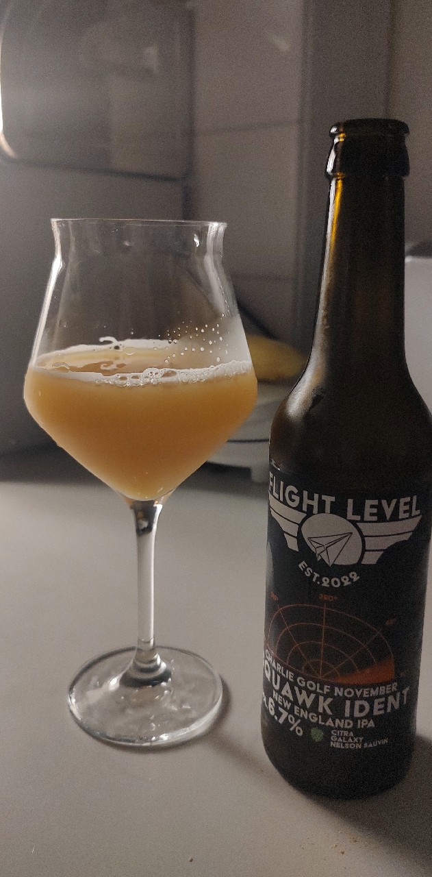 Charlie Golf November Squawk Ident, Finland