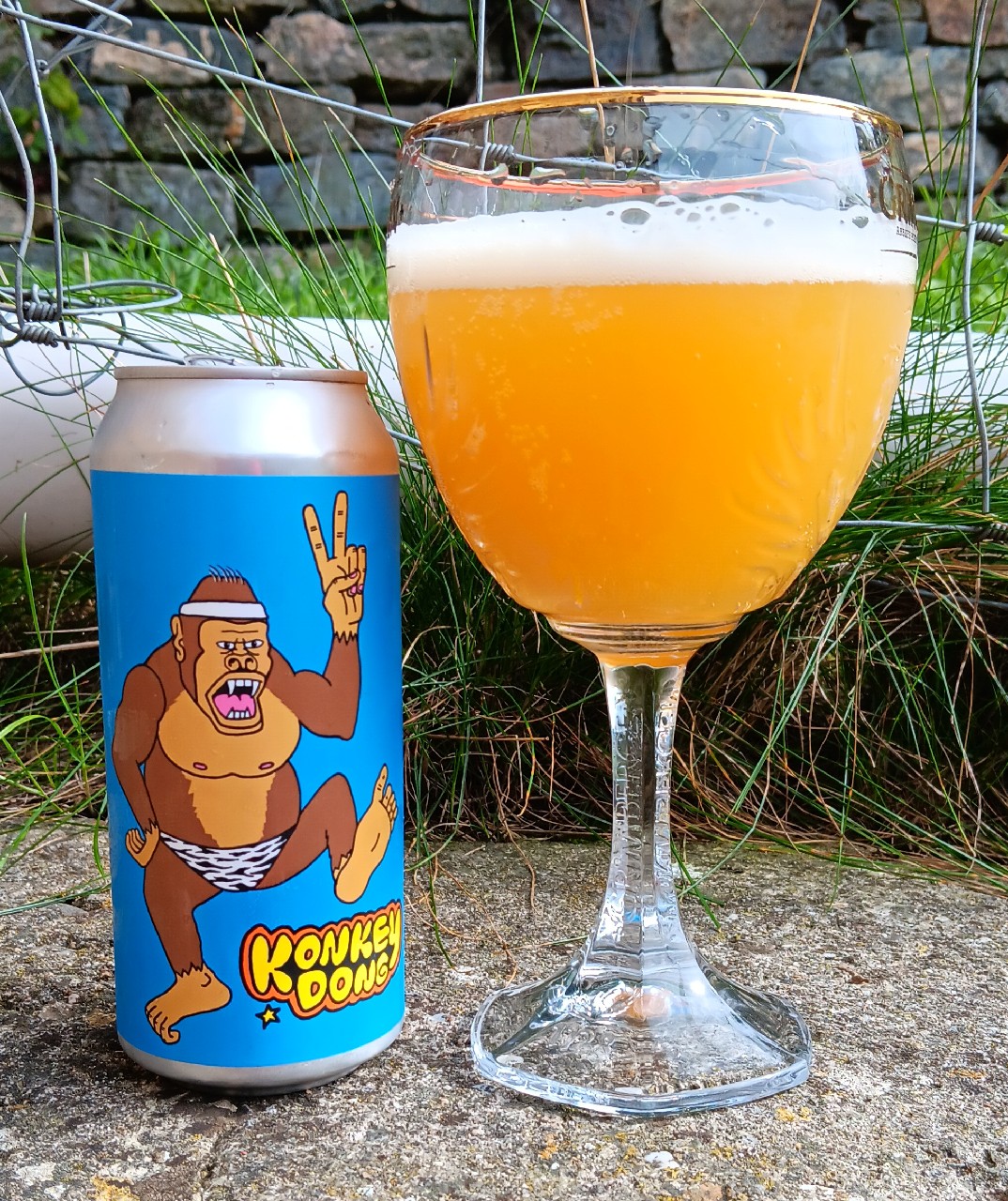 Konkey Dong, United States