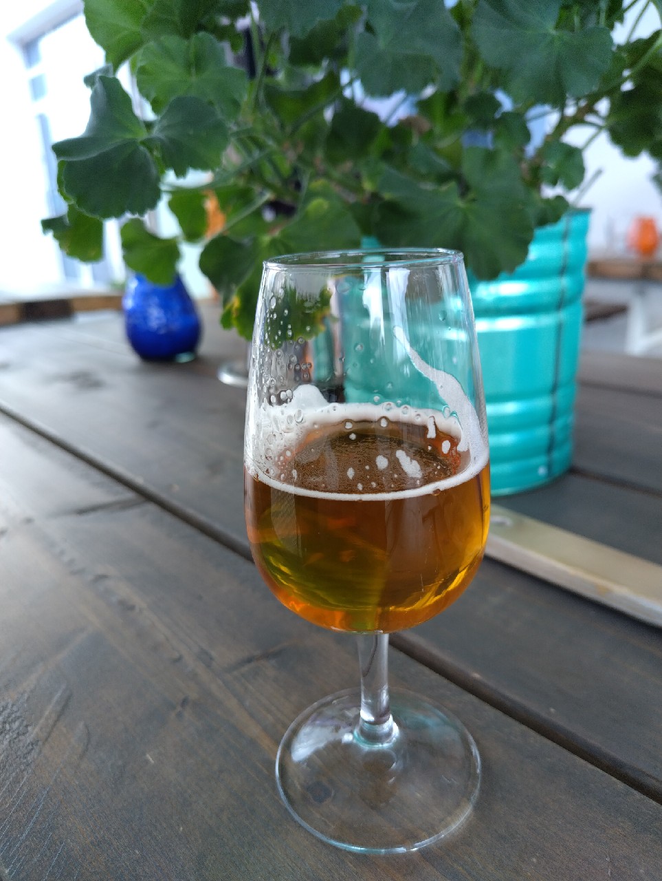 Rouva Humala, Finland