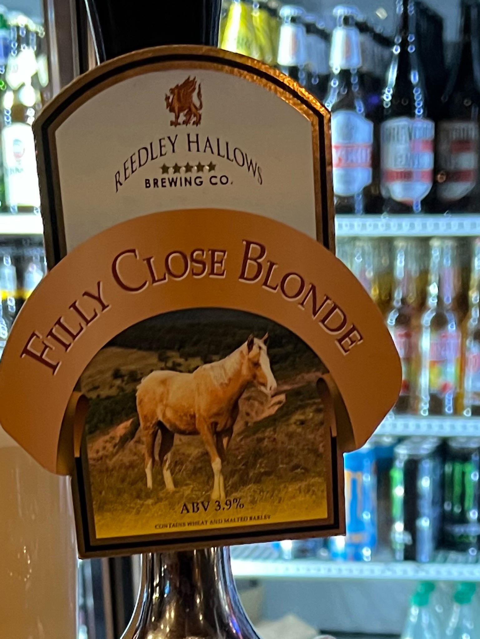 Filly Close Blonde, England