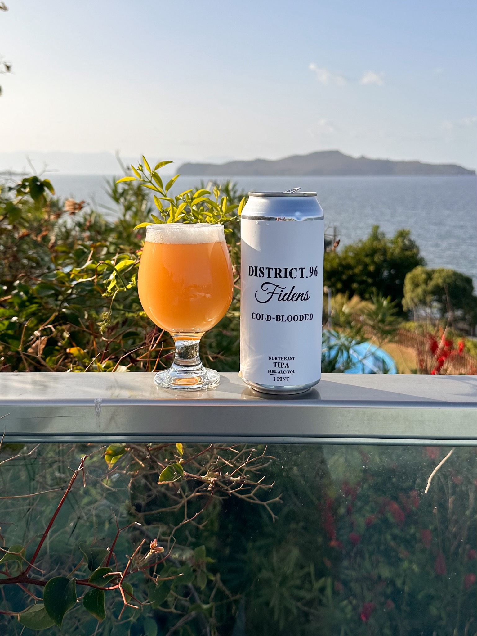 Cold Blooded, United States