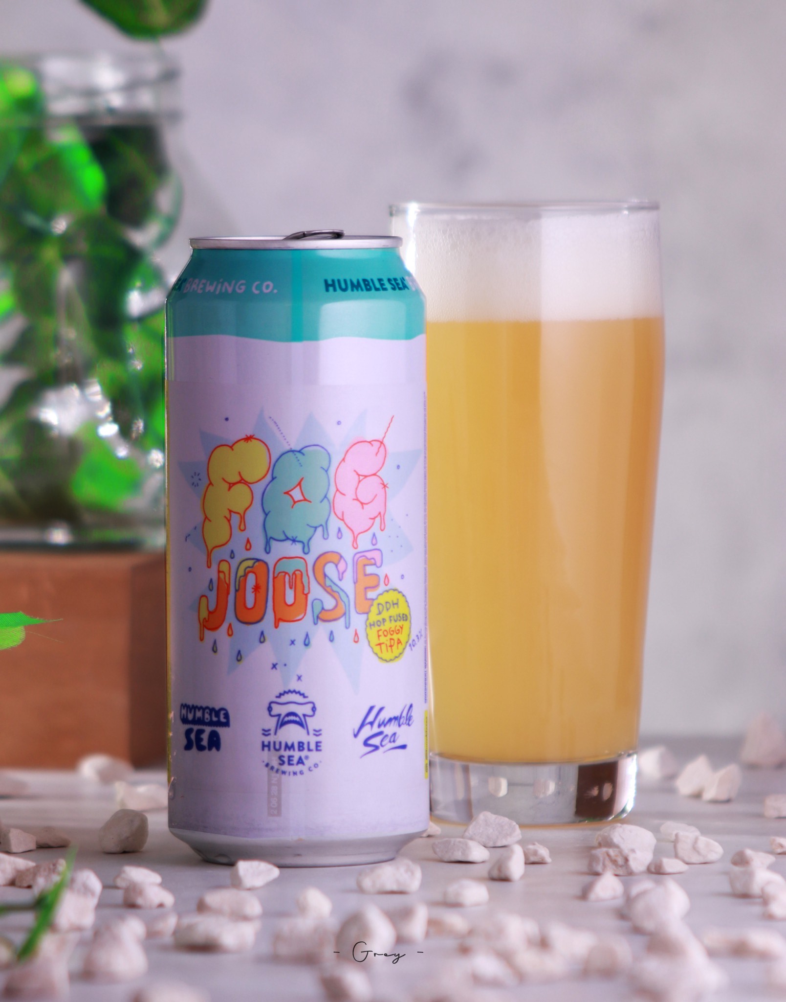 Fog Joose, United States