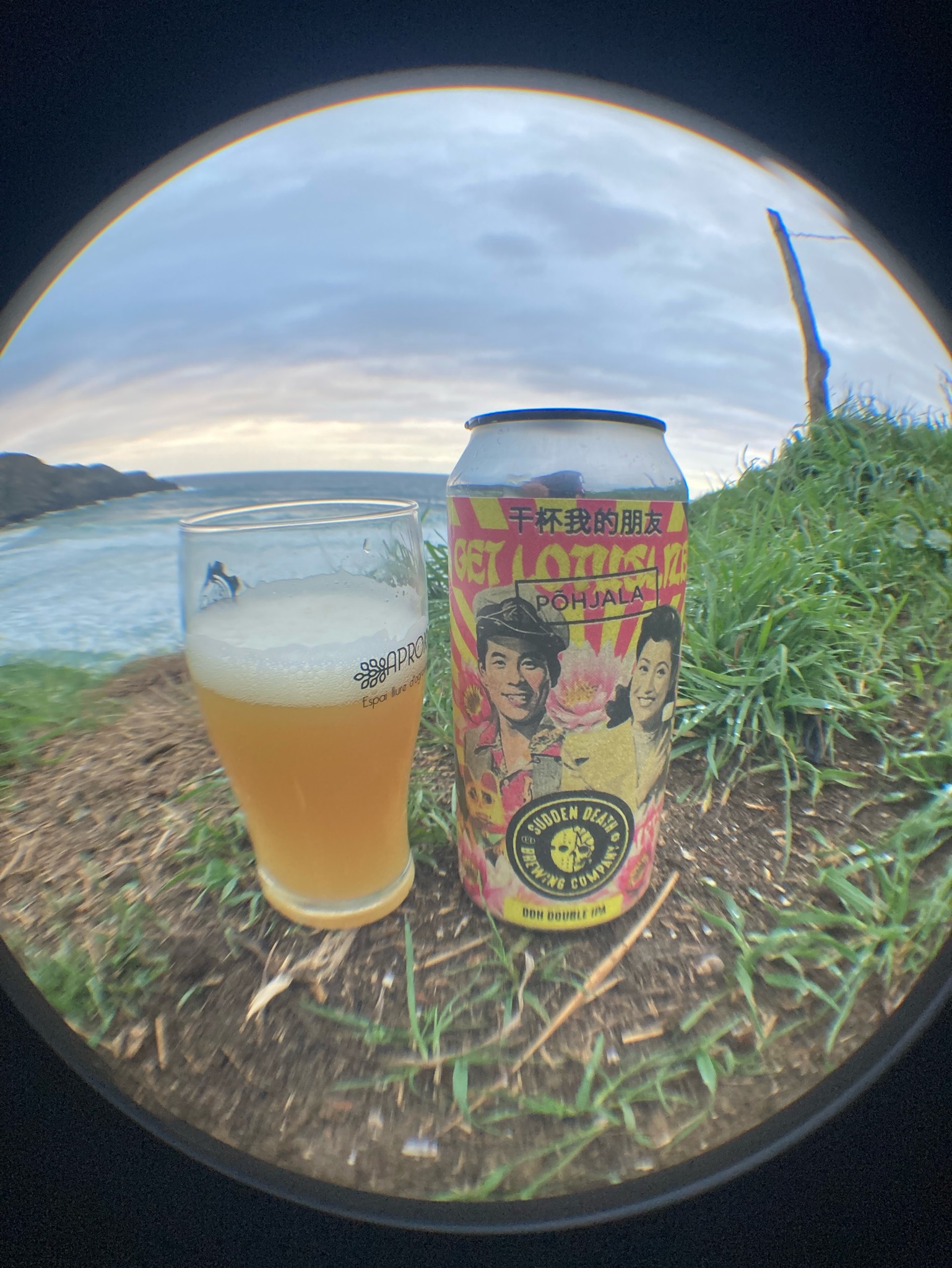 Get Lotuslized, Germany