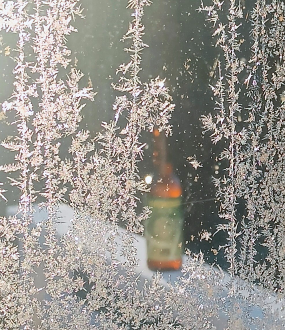 Single Hop: Lemondrop, Finland