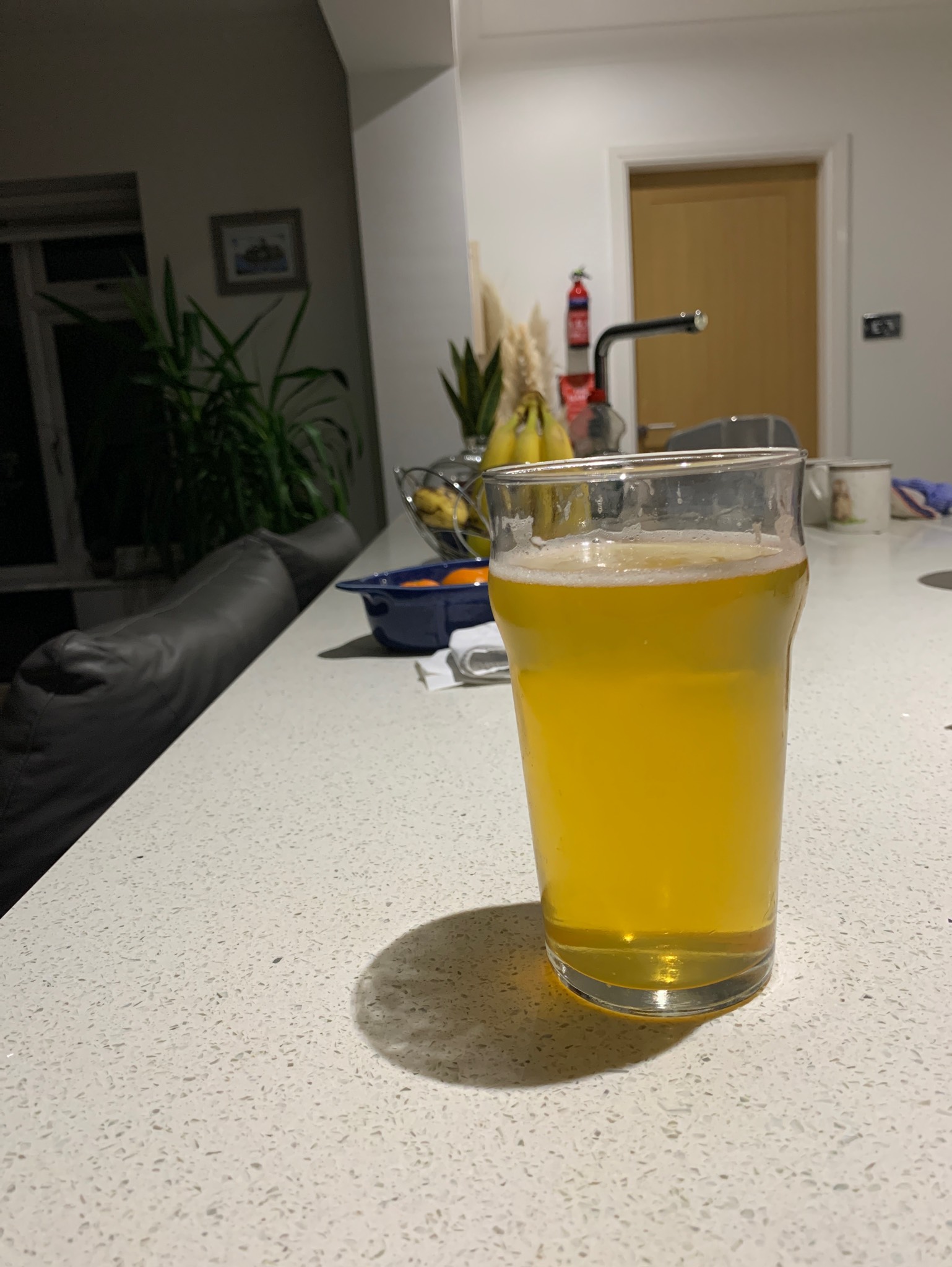 Camden Bellini Lager, England
