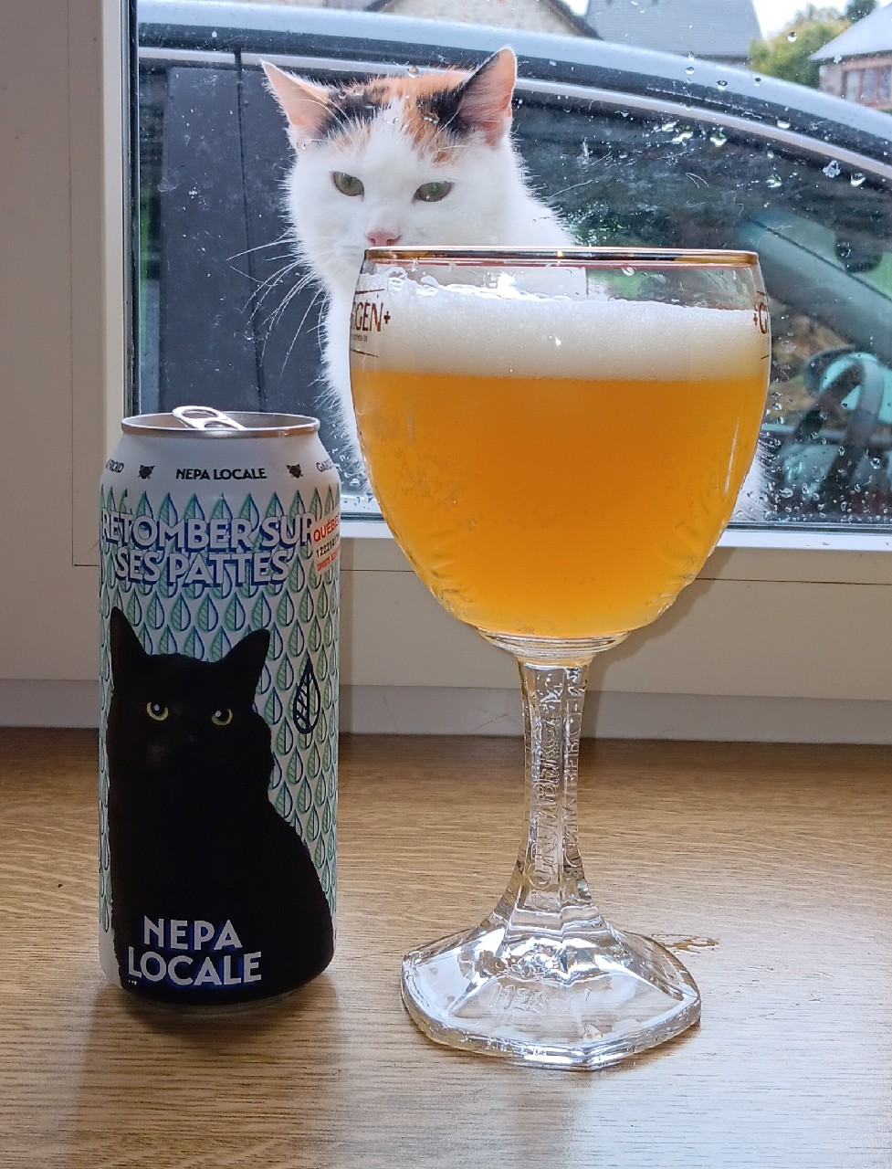 Retomber sur ses pattes, Canada