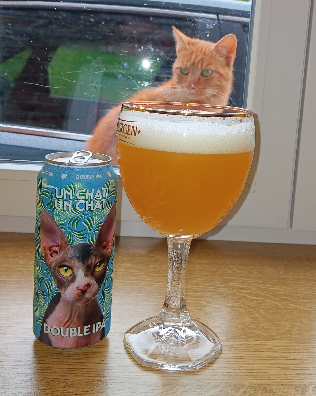 Un chat un chat, Canada