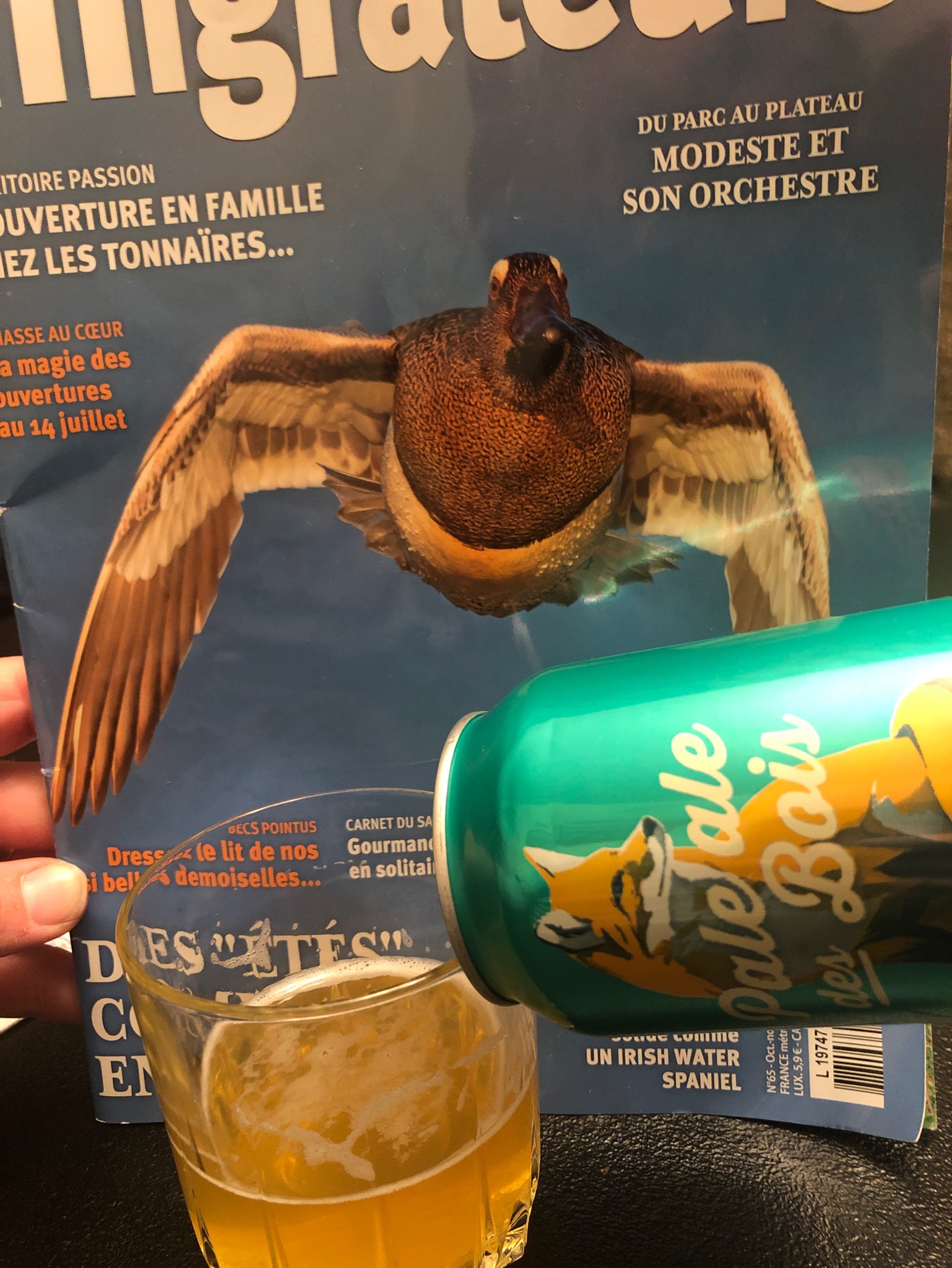 Boréale Brasseurs du Nord Pint Please