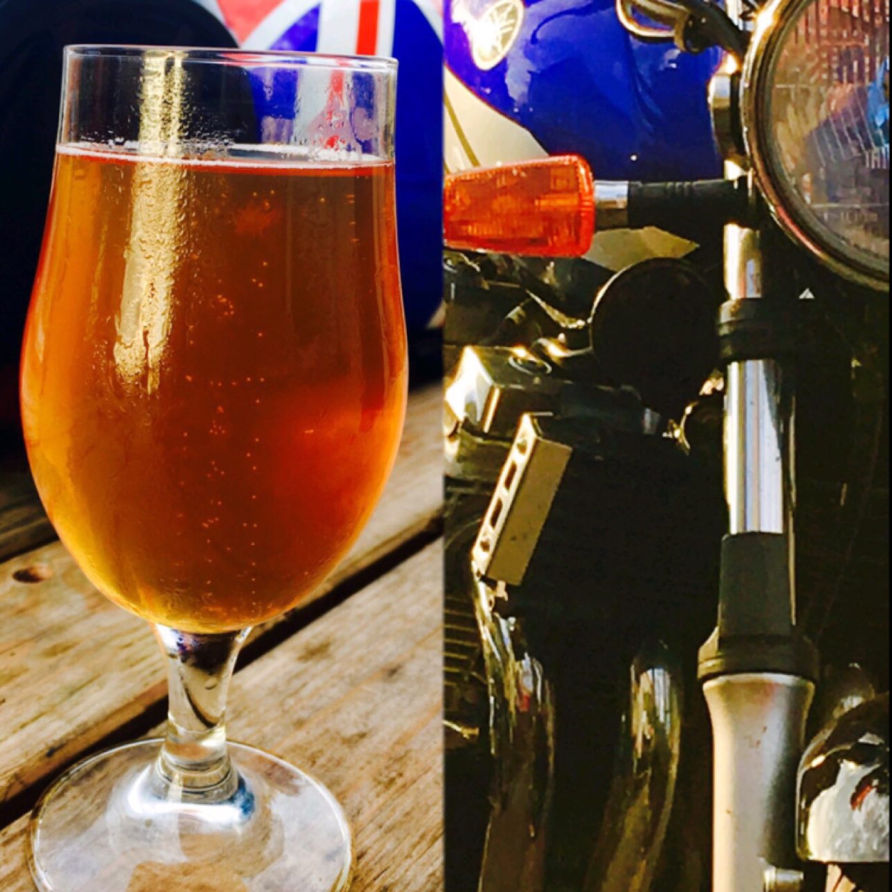 Sat On Rhubarb, England