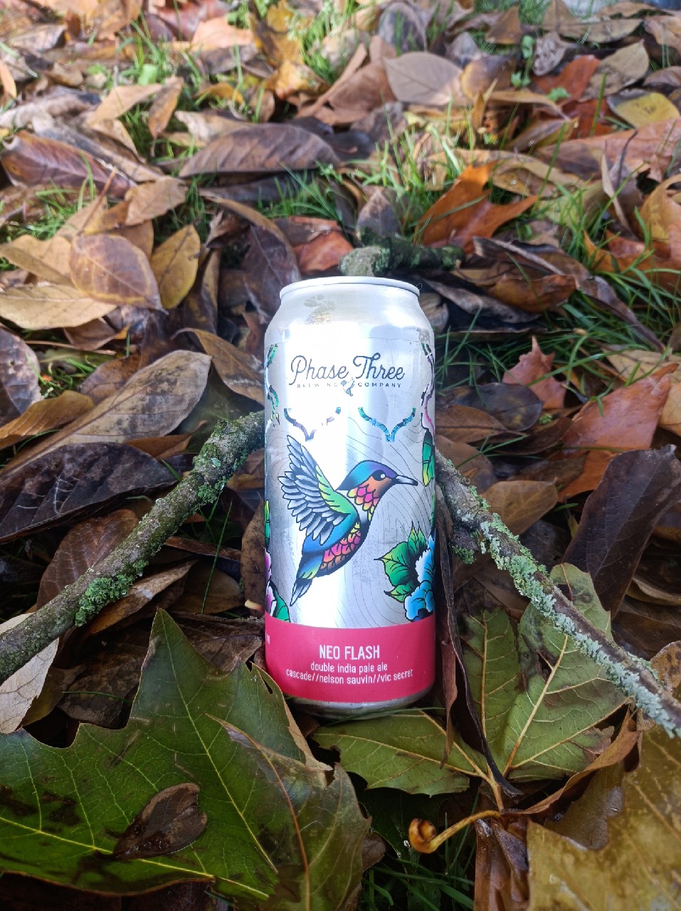 Neo Flash, United States