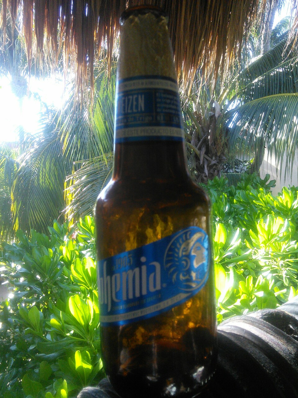 Bohemia Weizen, Mexico