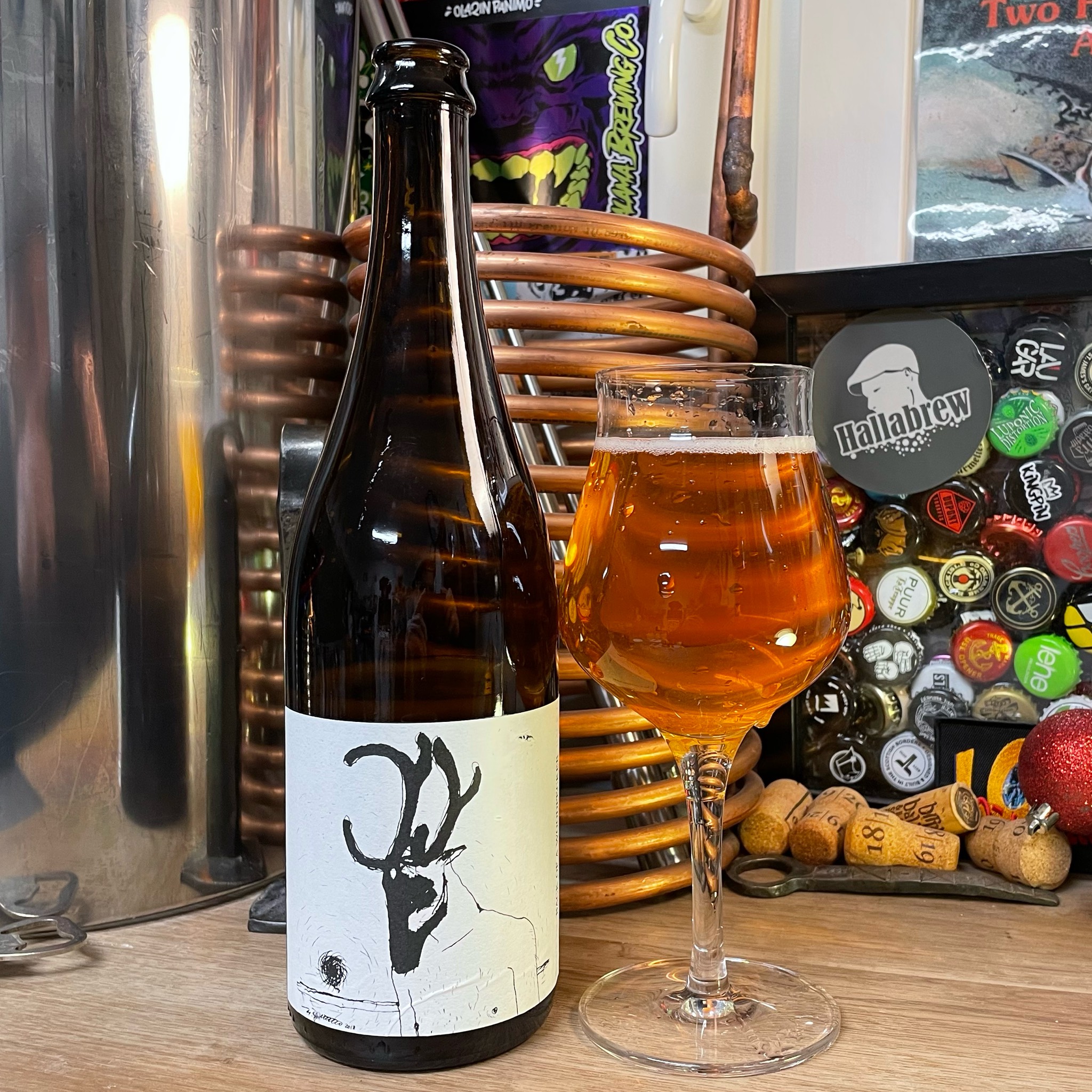 Back of a Woodpecker, Finland