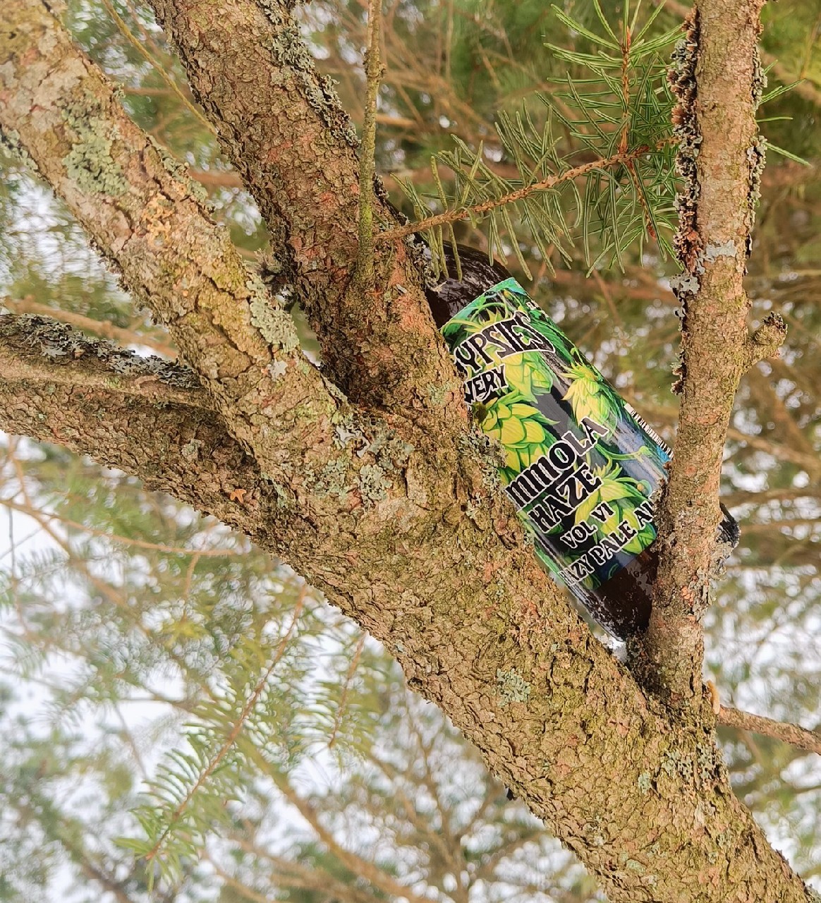 Hemmola Haze Vol VI: Azacca, Citra, El Dorado, Mosaic, Finland