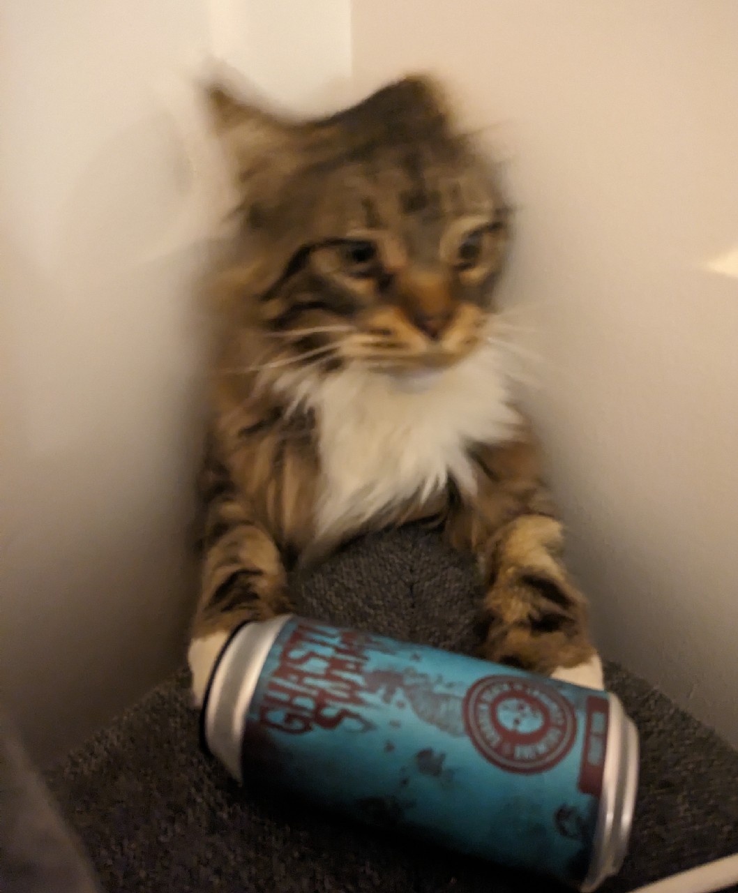 Ghastly Swamp, Germany