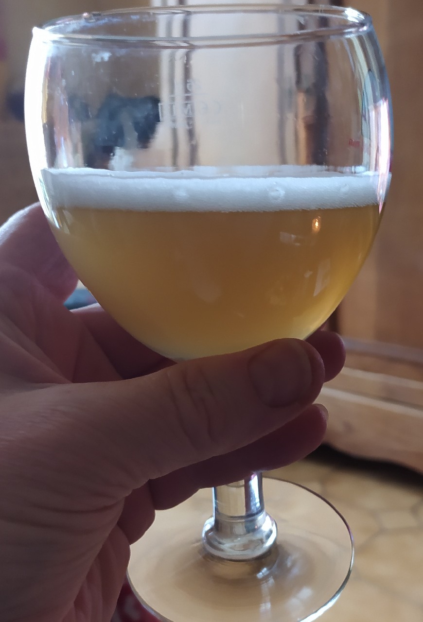 Coșmarul lui Baiazid, Bârlog