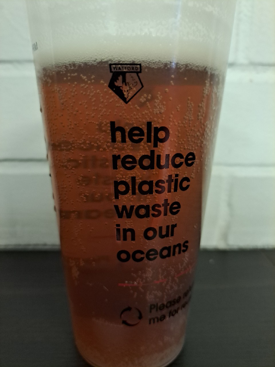 Festive fox, England