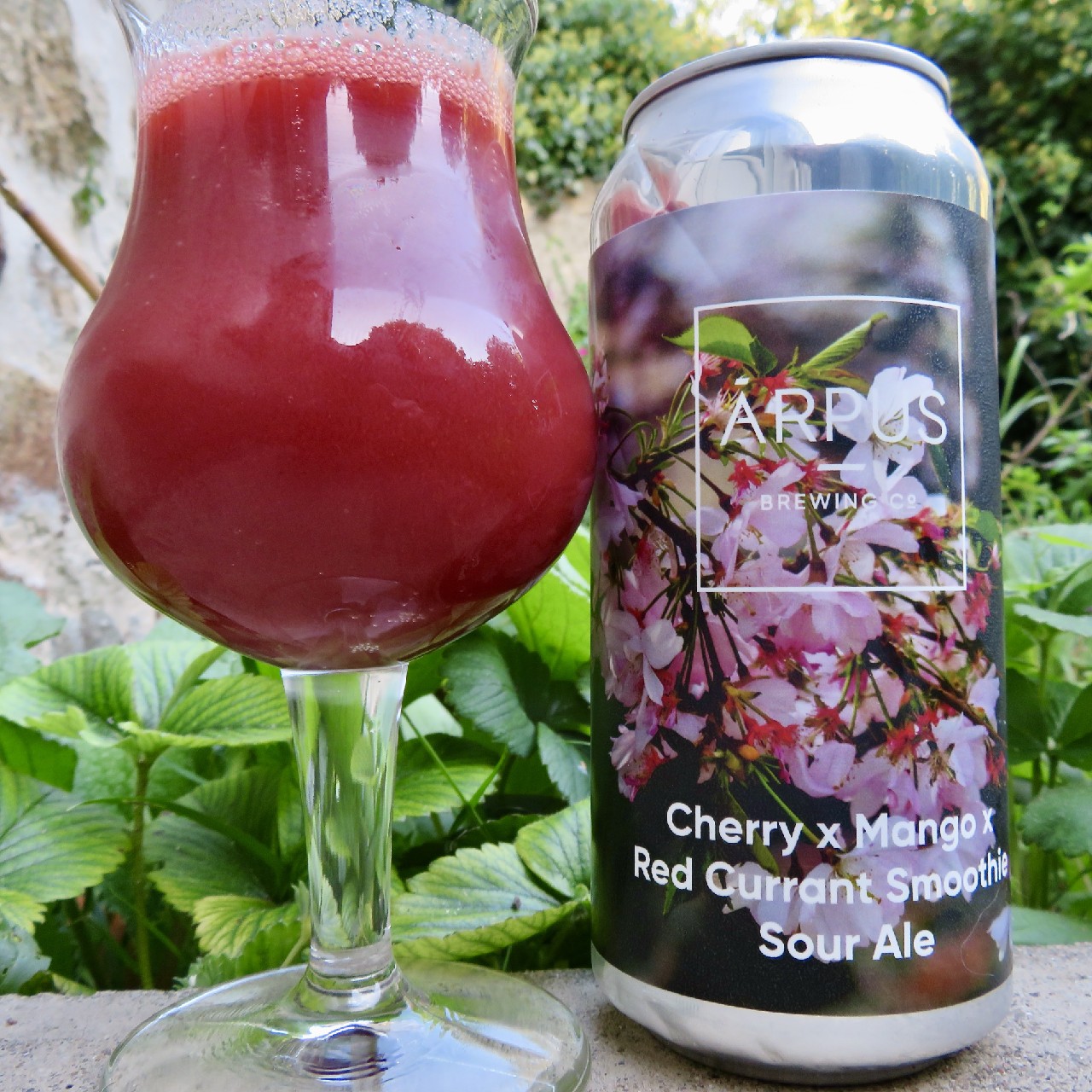 Cherry x Mango x Red Currant Smoothie Sour Ale, Latvia