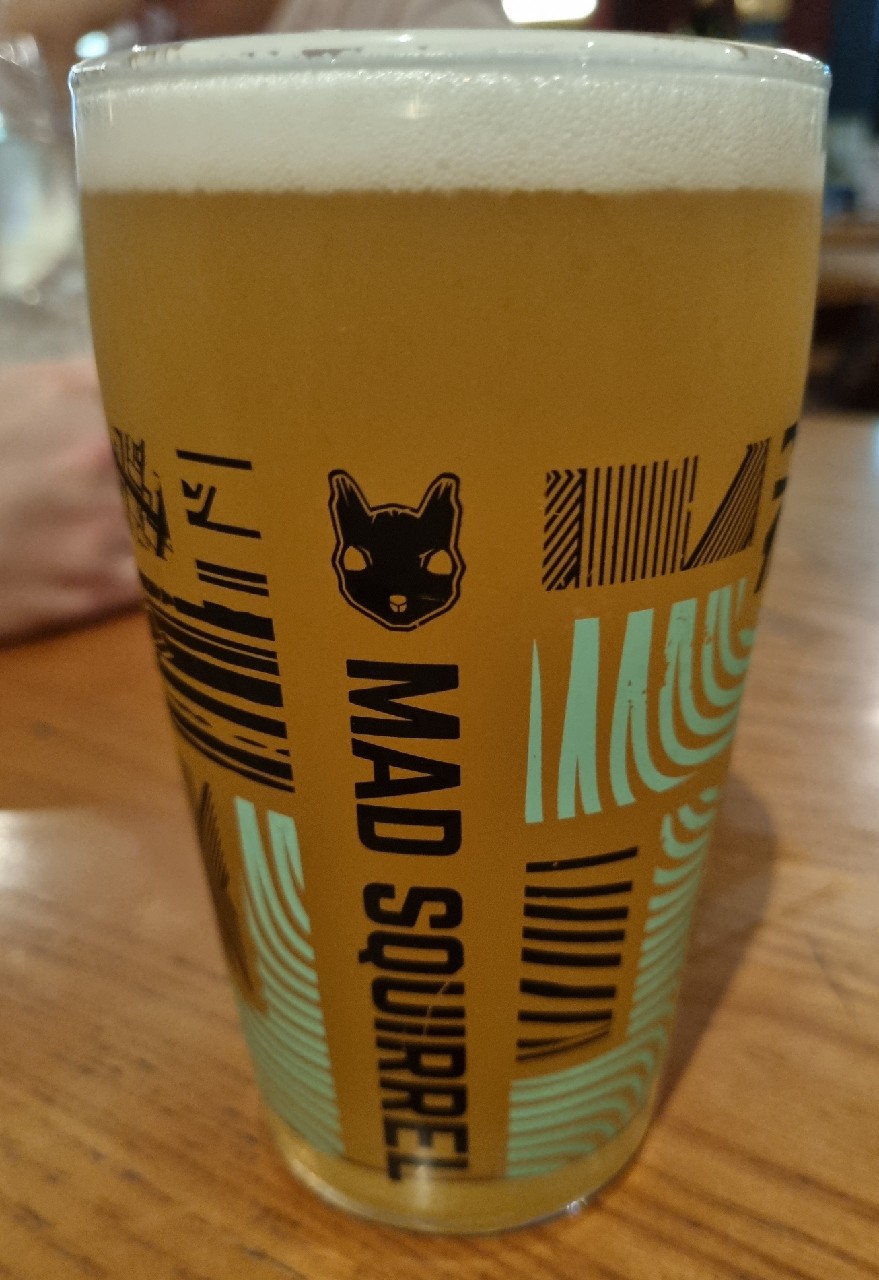 Mad Squirrel IPA, England