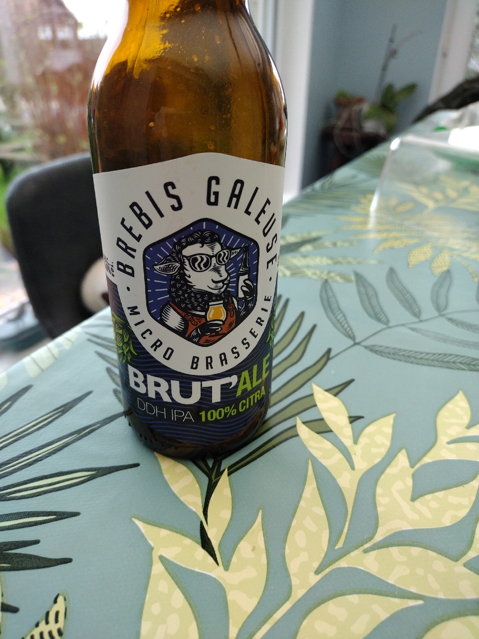 Brebis Galeuse Brut'Ale, France