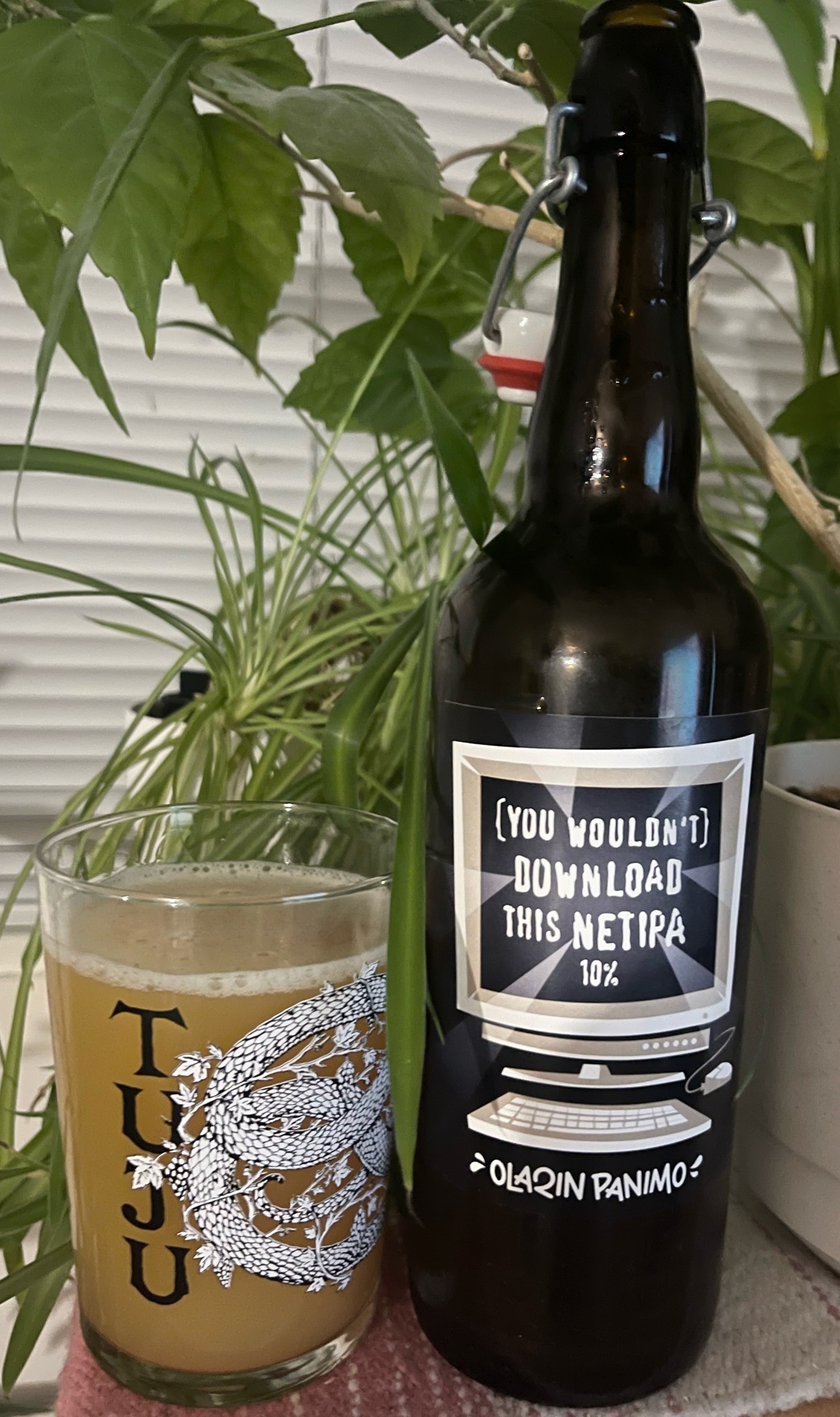 (You Wouldn't) Download This NETIPA, Finland