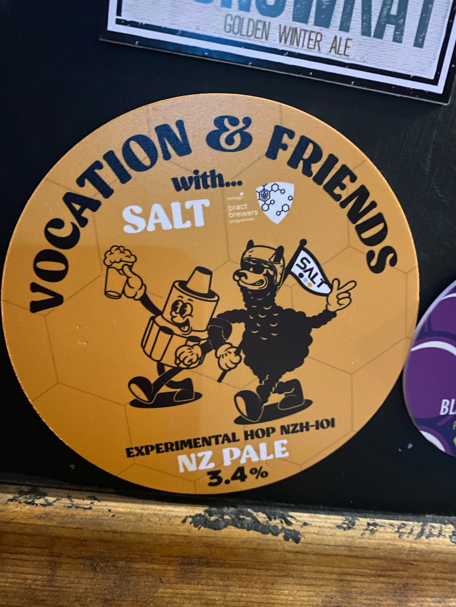 Vocation & Friends with... Salt, England