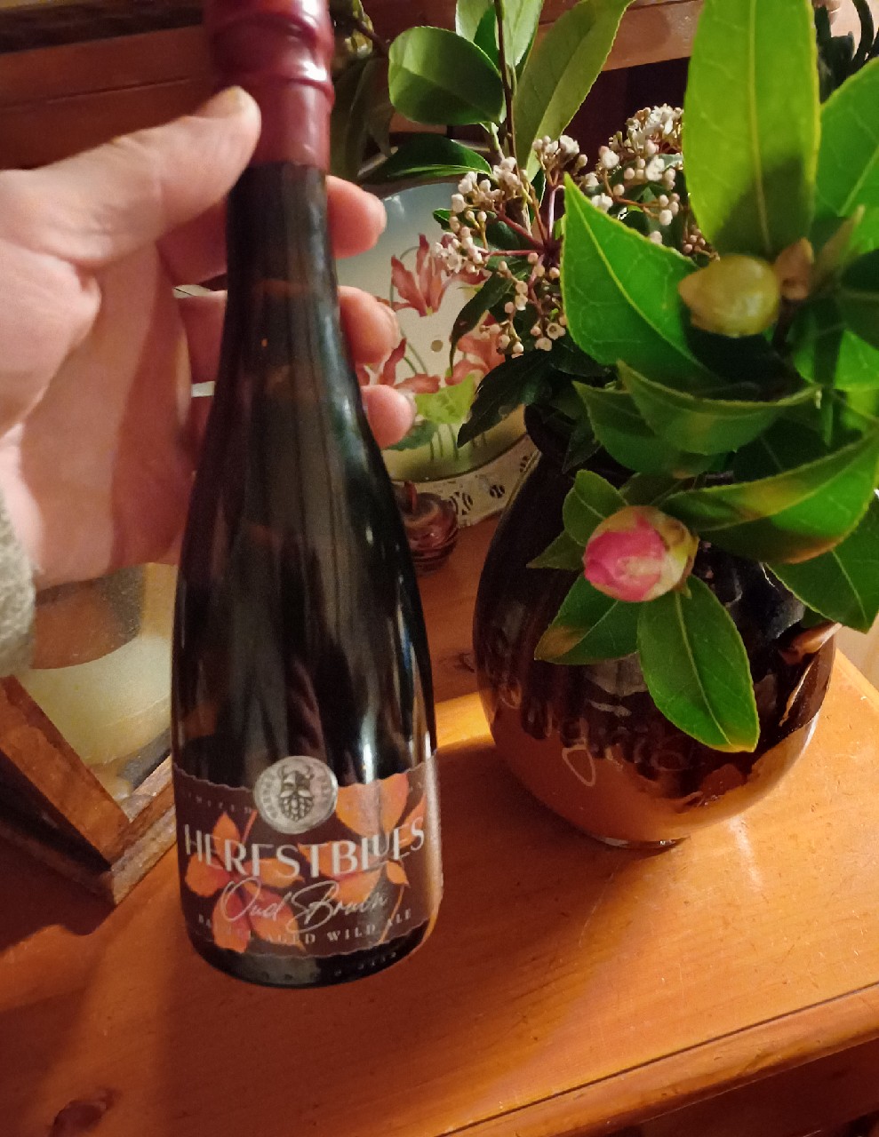 Herfstblues, Ukraine