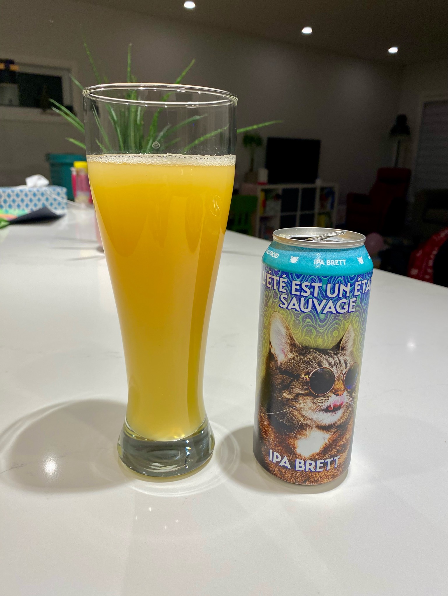 L'été est un état sauvage, Canada