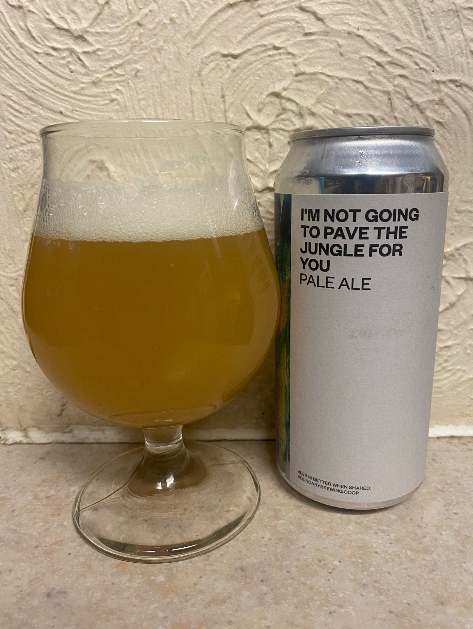 I'm Not Going To Pave The Jungle For You, Northern Ireland