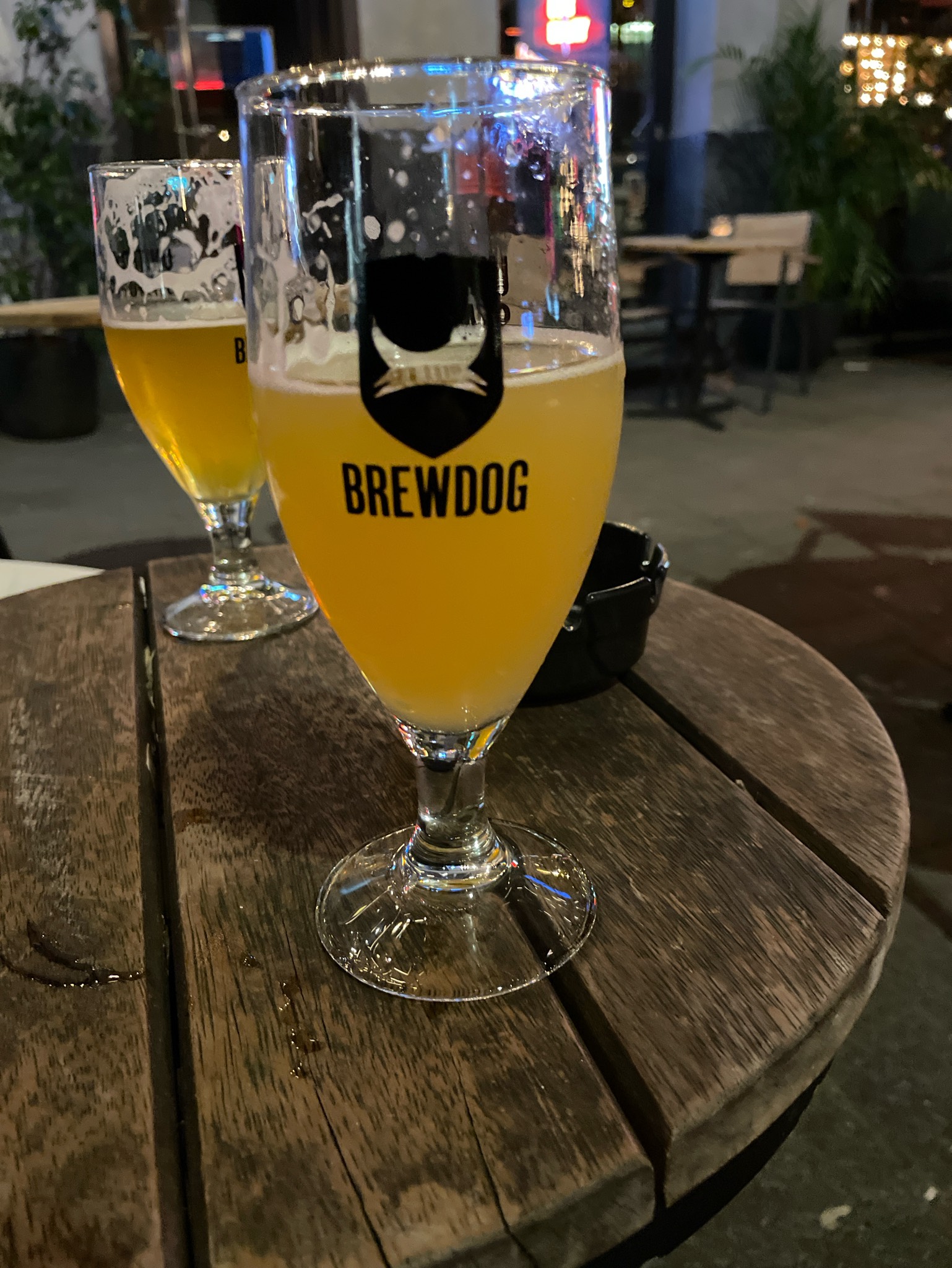 Almost Famous, Scotland