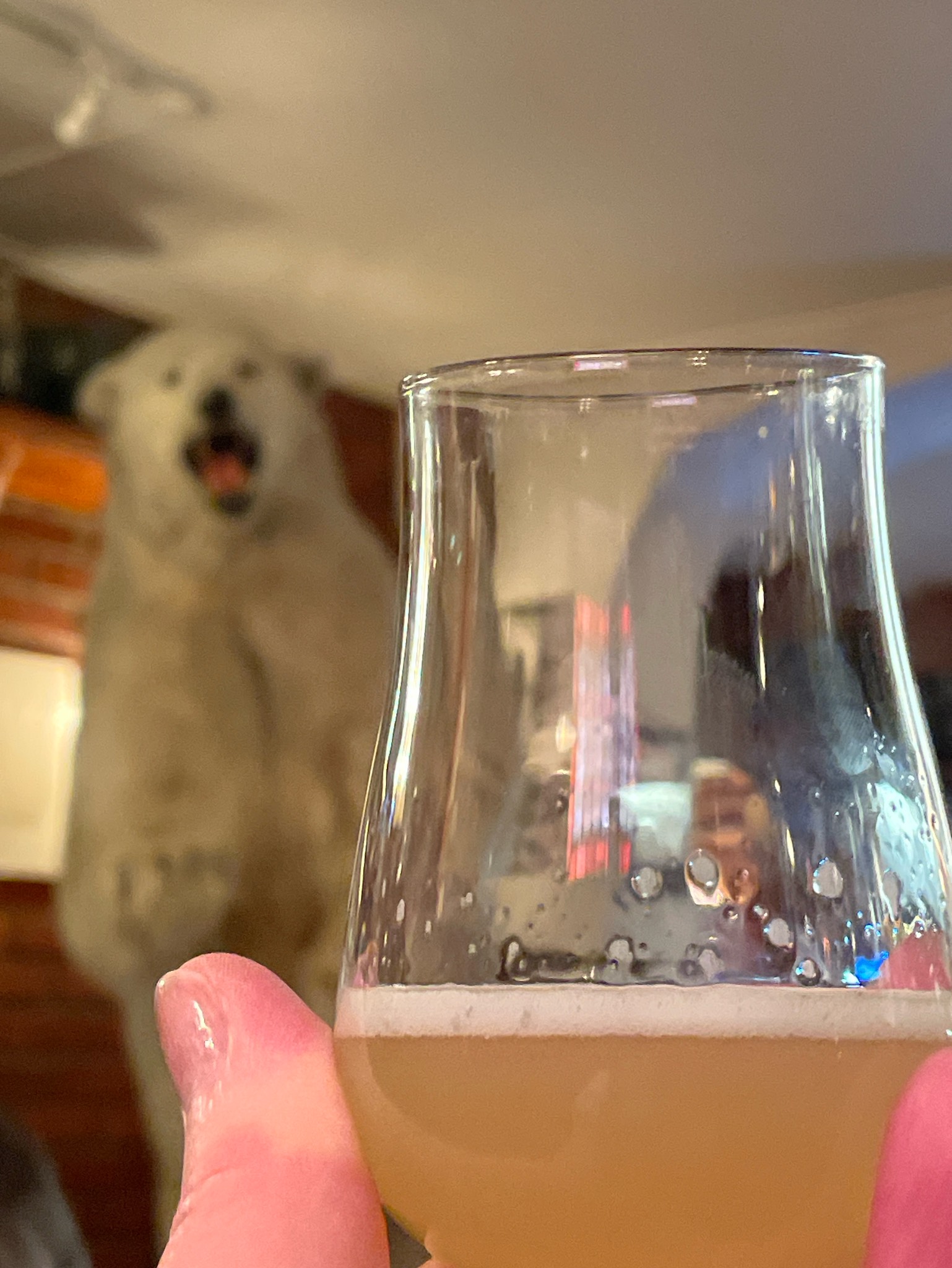 Wormhole 5.0, Norway